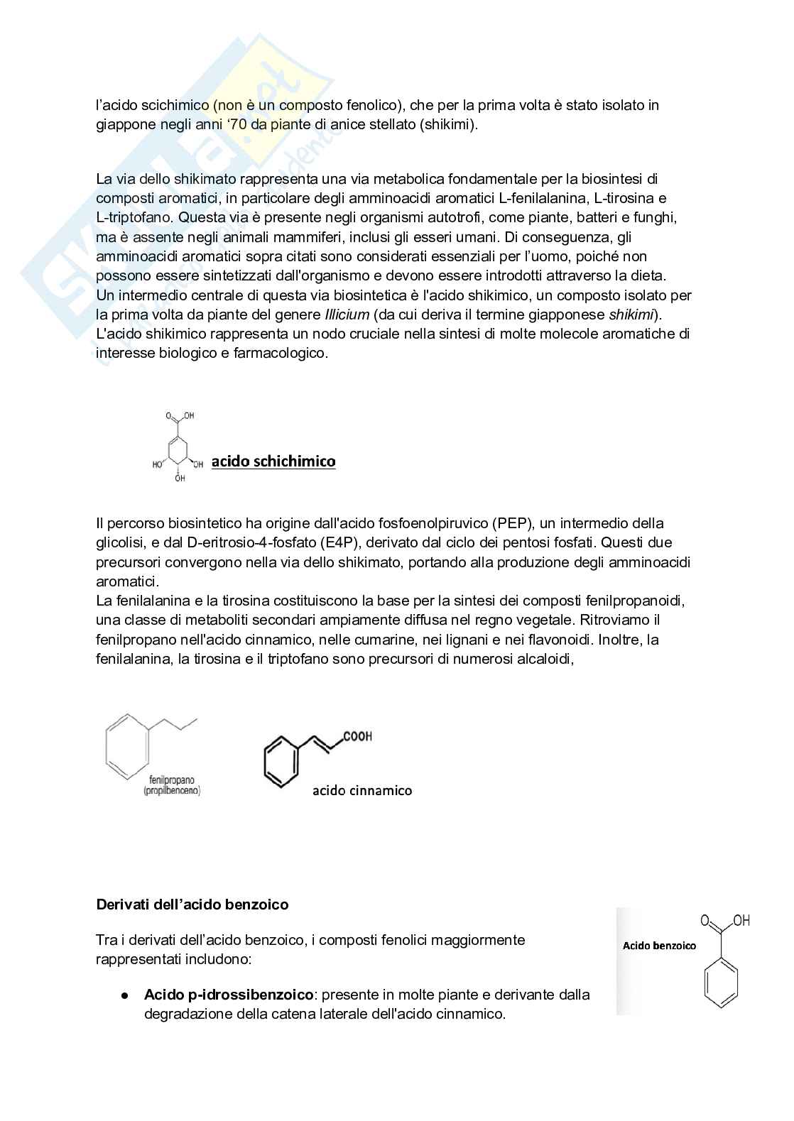 Biologia vegetale e Botanica farmaceutica  Pag. 41