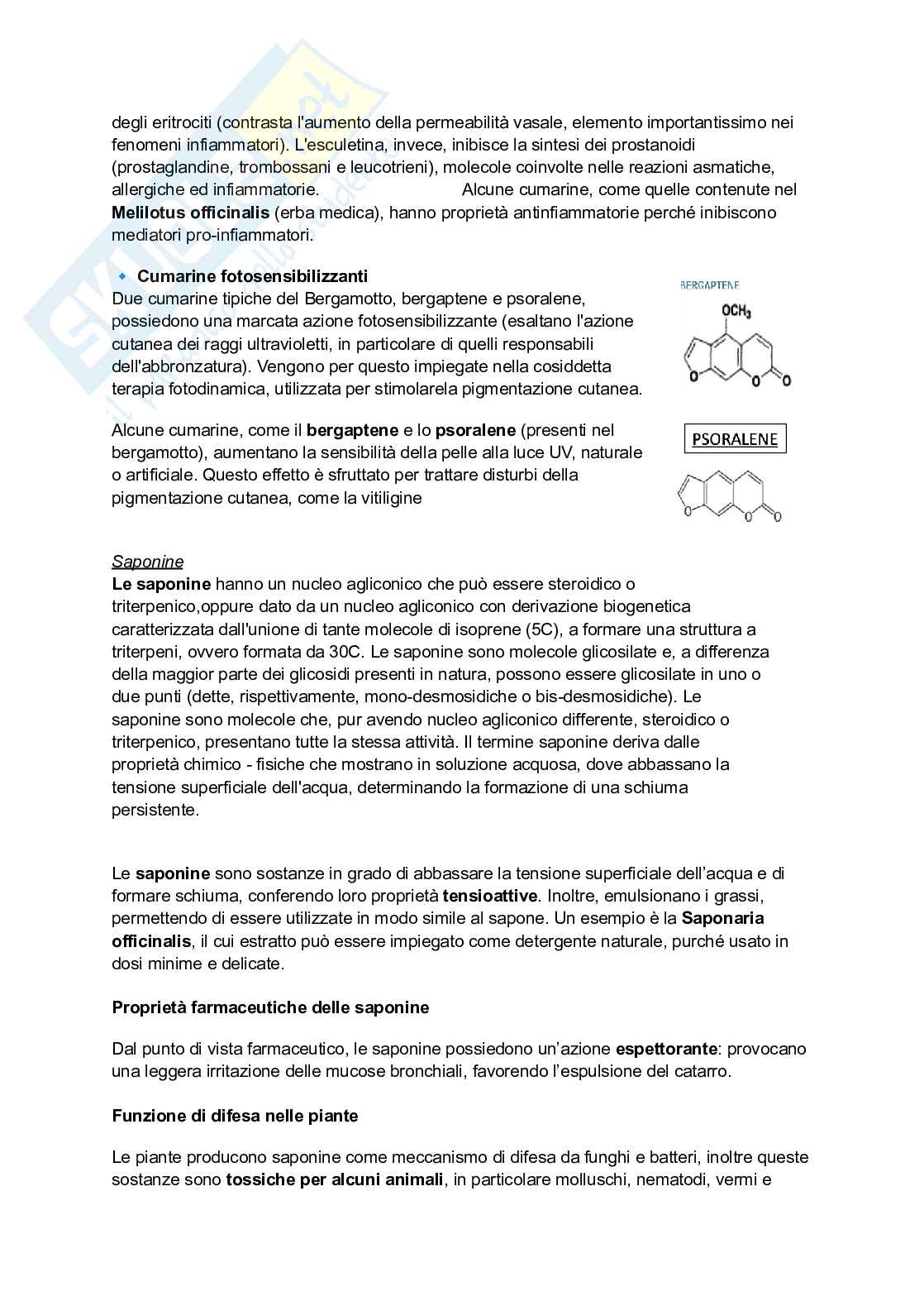 Biologia vegetale e Botanica farmaceutica  Pag. 51