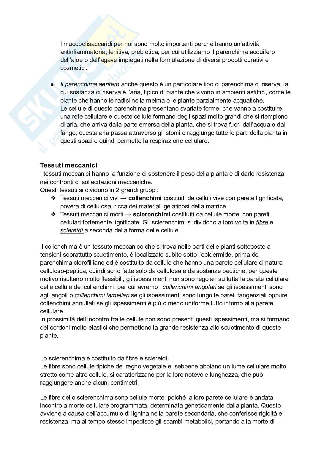 Biologia vegetale e Botanica farmaceutica  Pag. 66