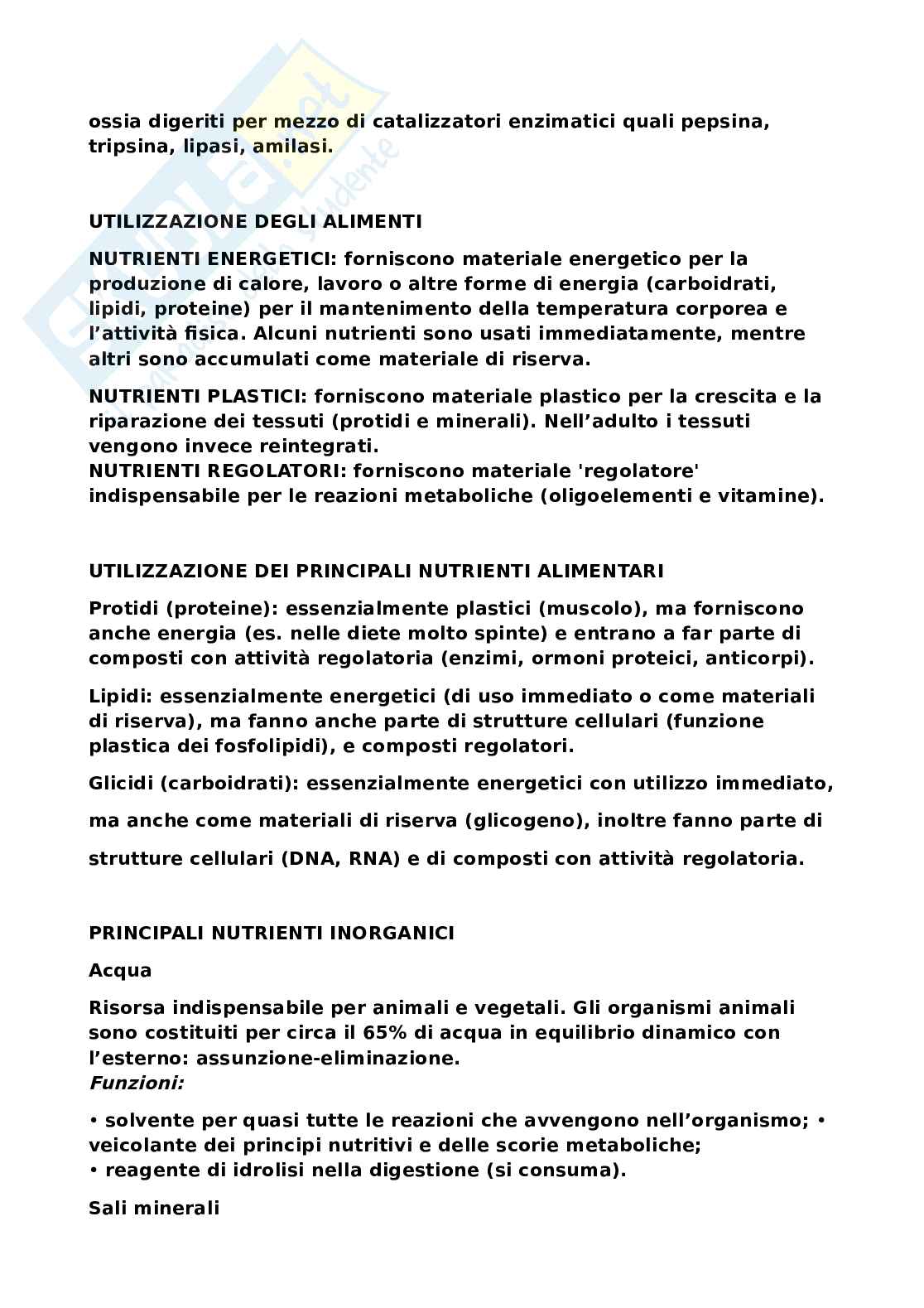 Appunti prima parte Chimica degli alimenti Pag. 2