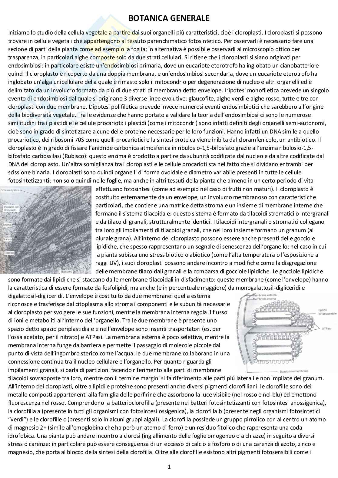 Botanica Generale: appunti d'esame completi Pag. 1