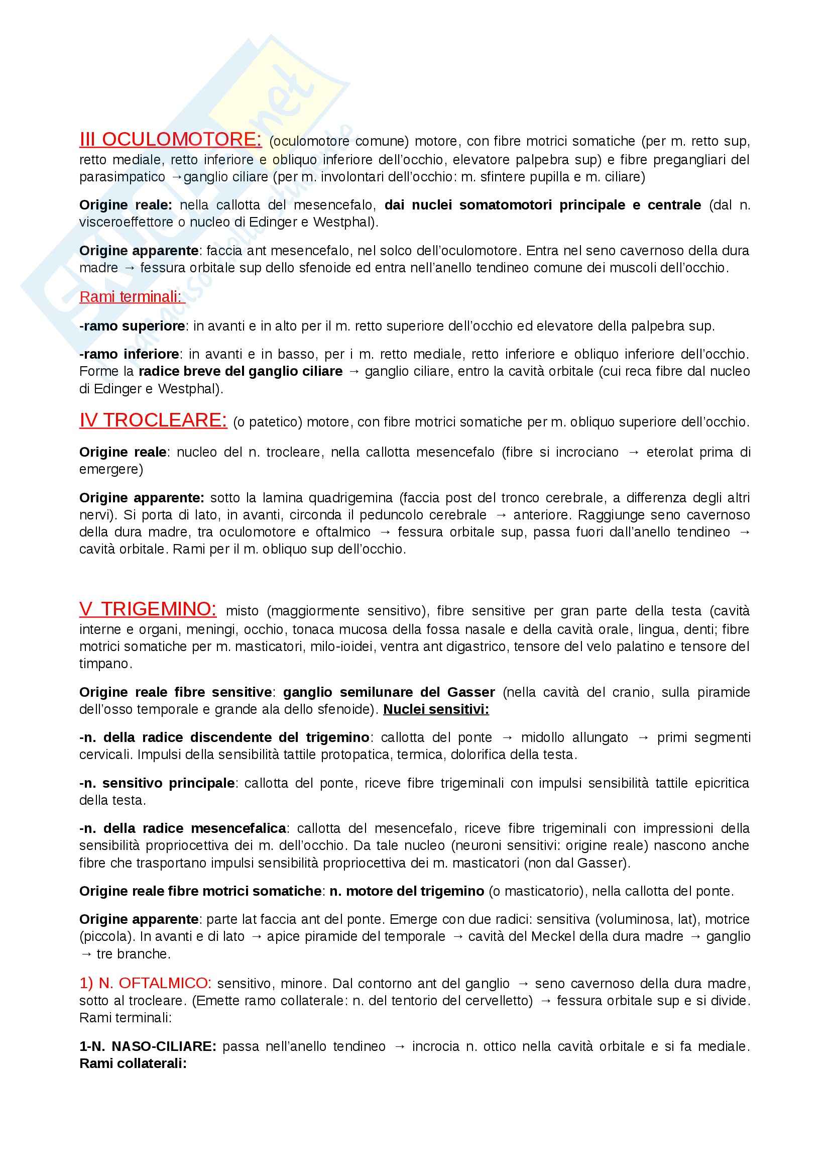 Nervi encefalici: Appunti di Anatomia Pag. 2