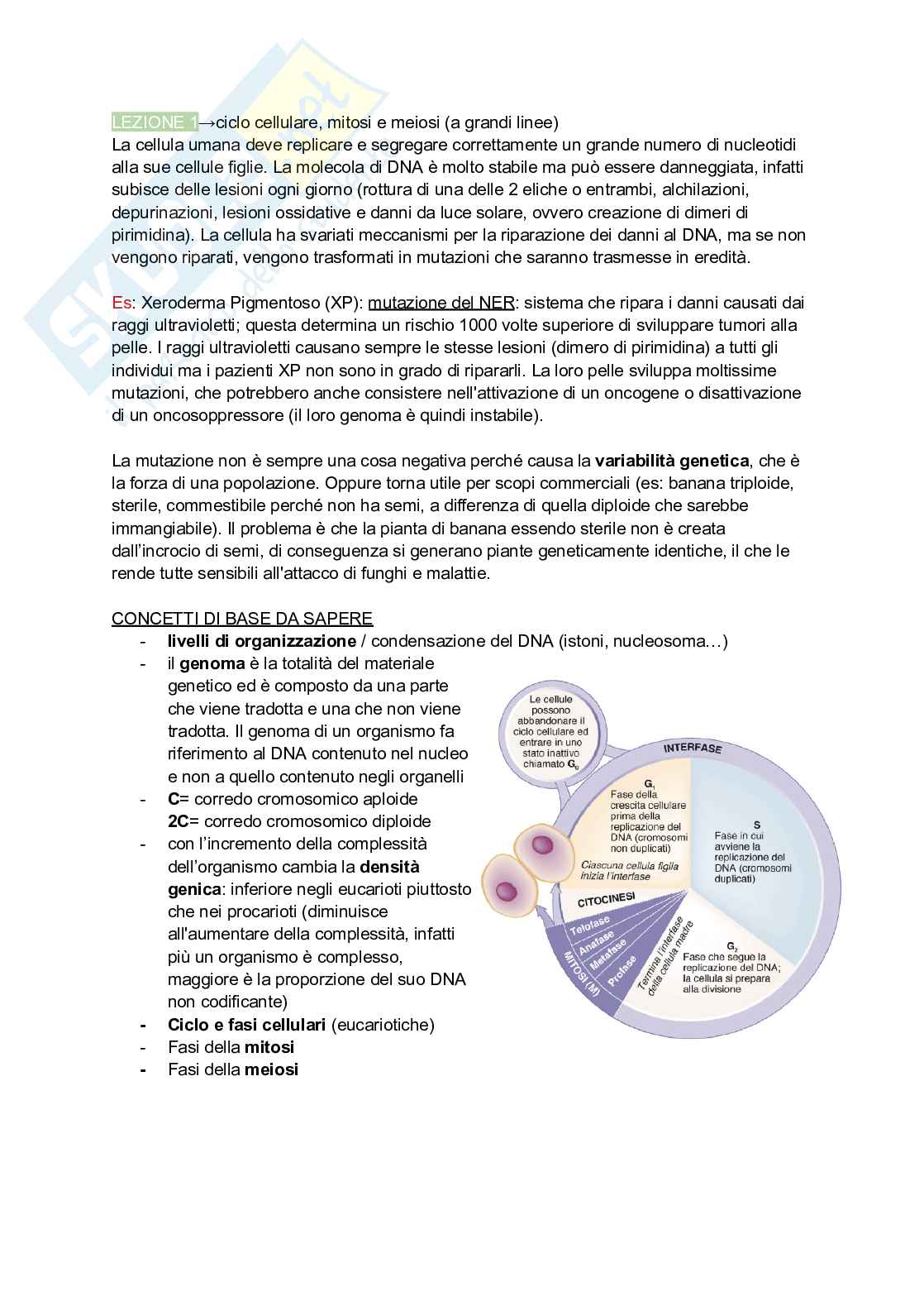 Appunti di Genetica Pag. 1