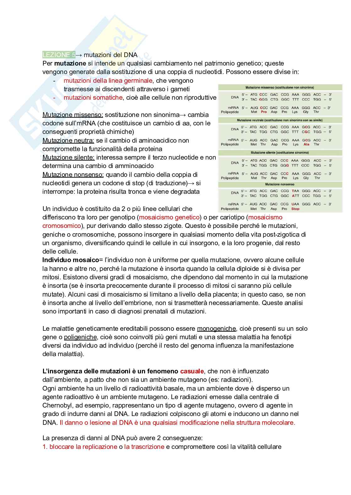 Appunti di Genetica Pag. 11