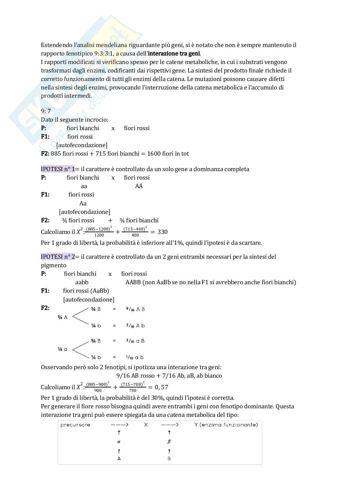 Appunti di Genetica Pag. 36