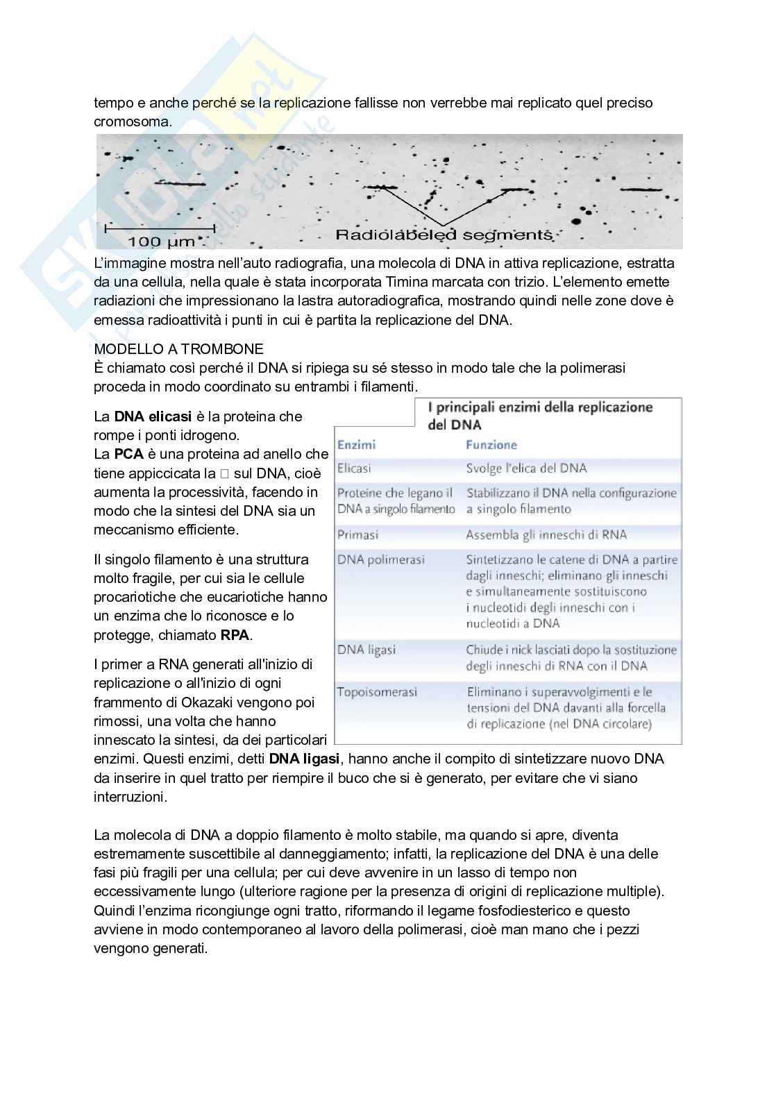 Appunti di Genetica Pag. 6