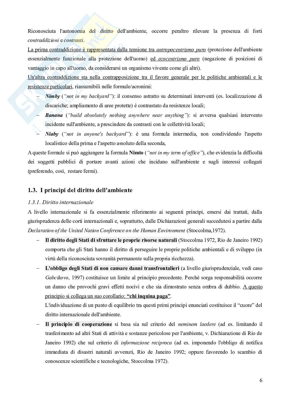 Riassunto esame Diritto dell'ambiente, Prof. Troise Mangoni Wladimiro, libro consigliato Diritto dell'ambiente, Lugaresi  Pag. 6