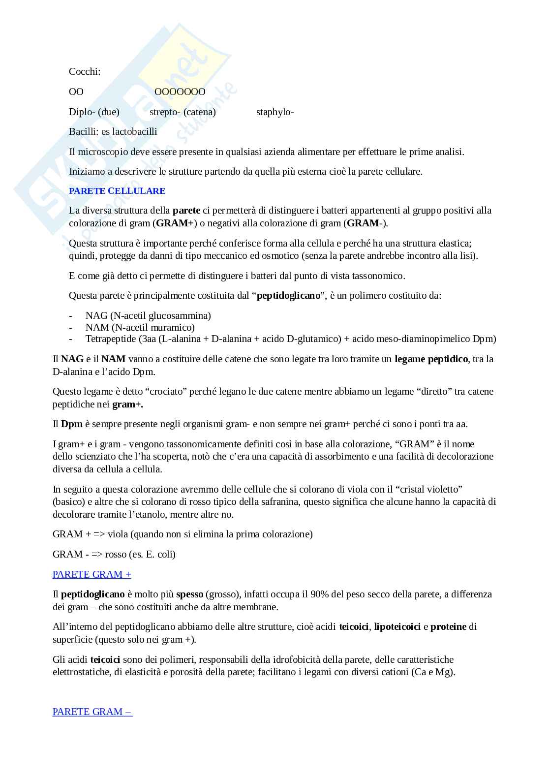 Microbiologia  Pag. 2