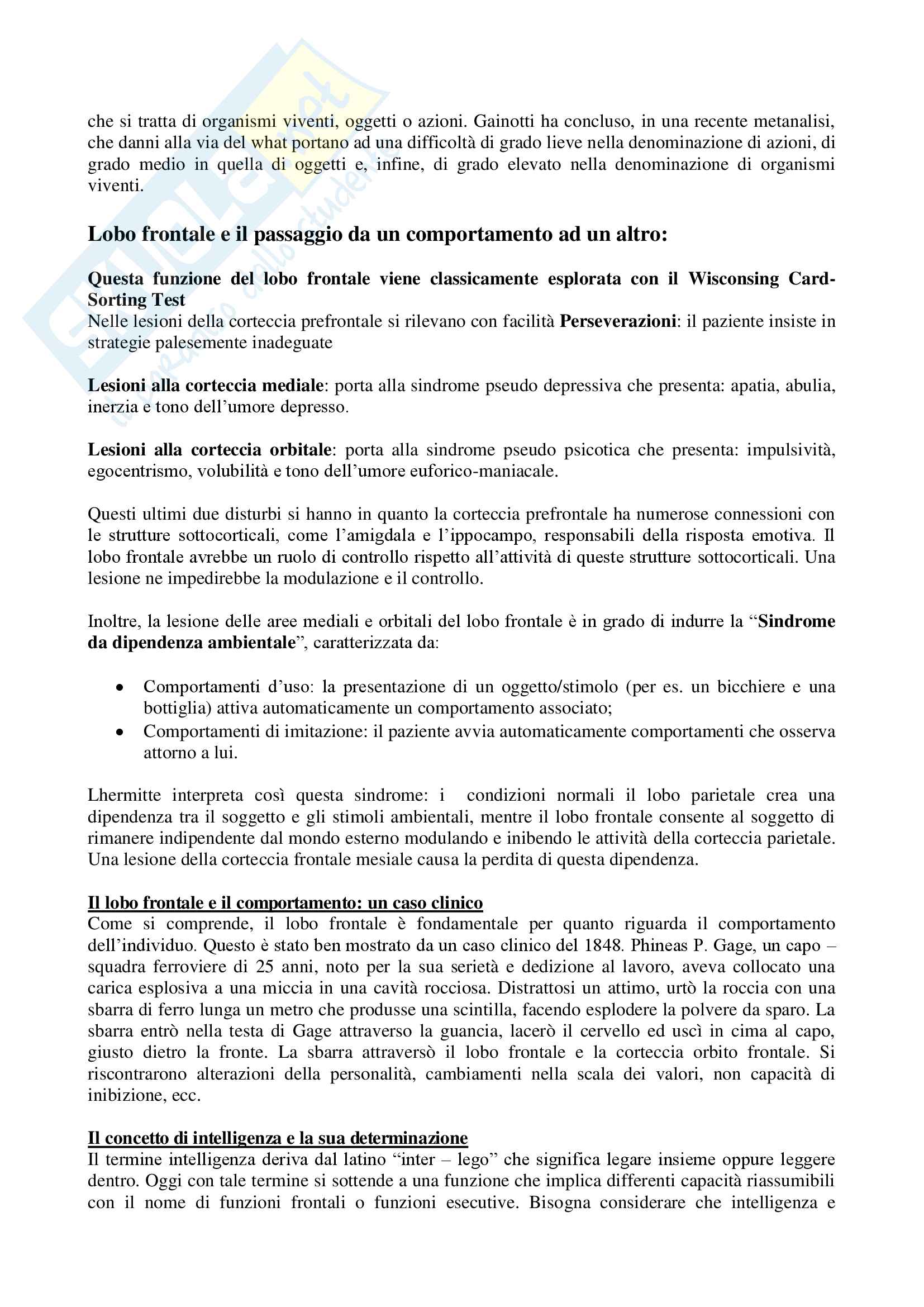 Riassunto esame Psicofisiologia, Prof. Perciavalle, libro consigliato Fondamenti di psicologia fisiologica Neil Carlson Pag. 31