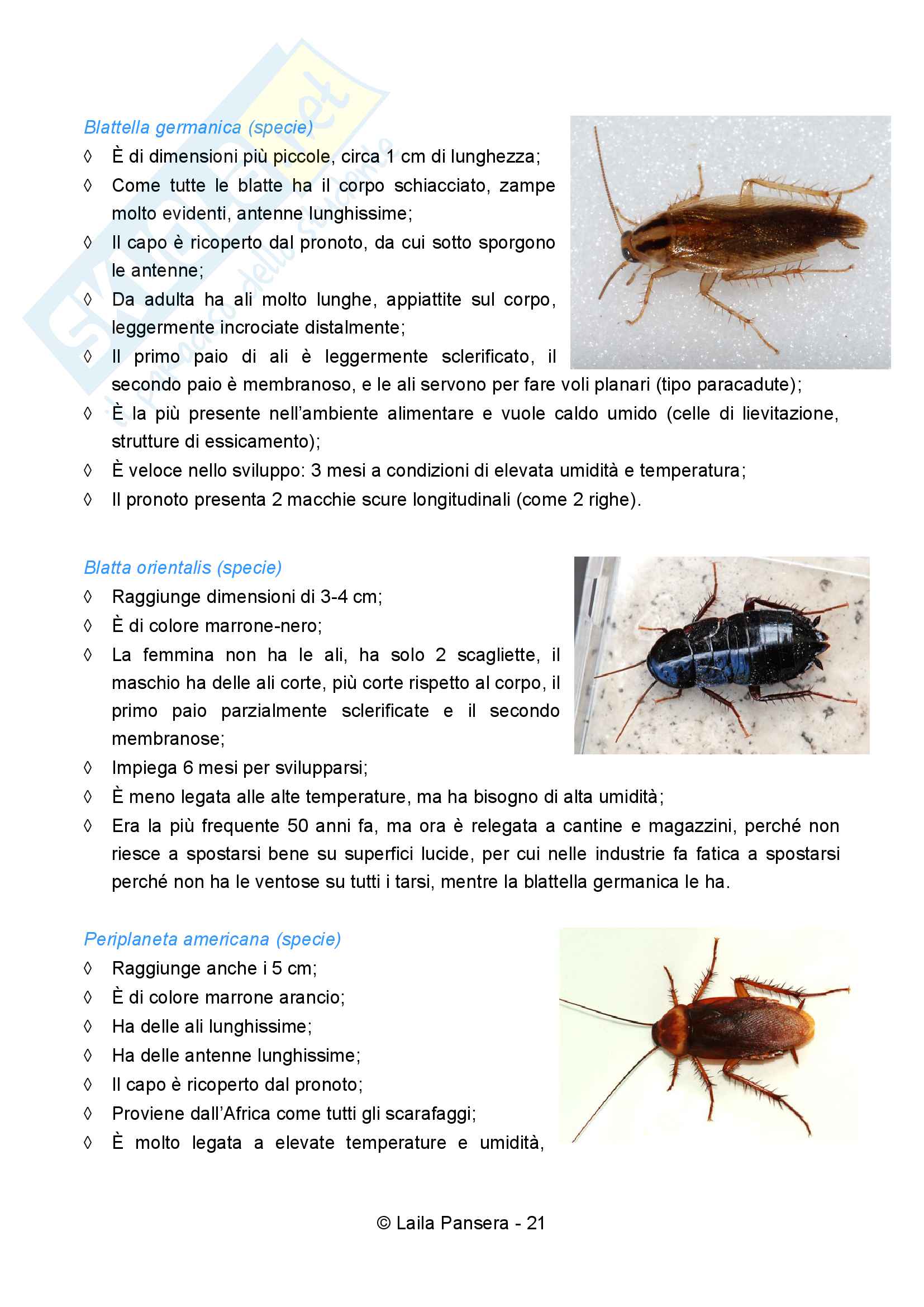 Difesa integrata degli infestanti Pag. 21