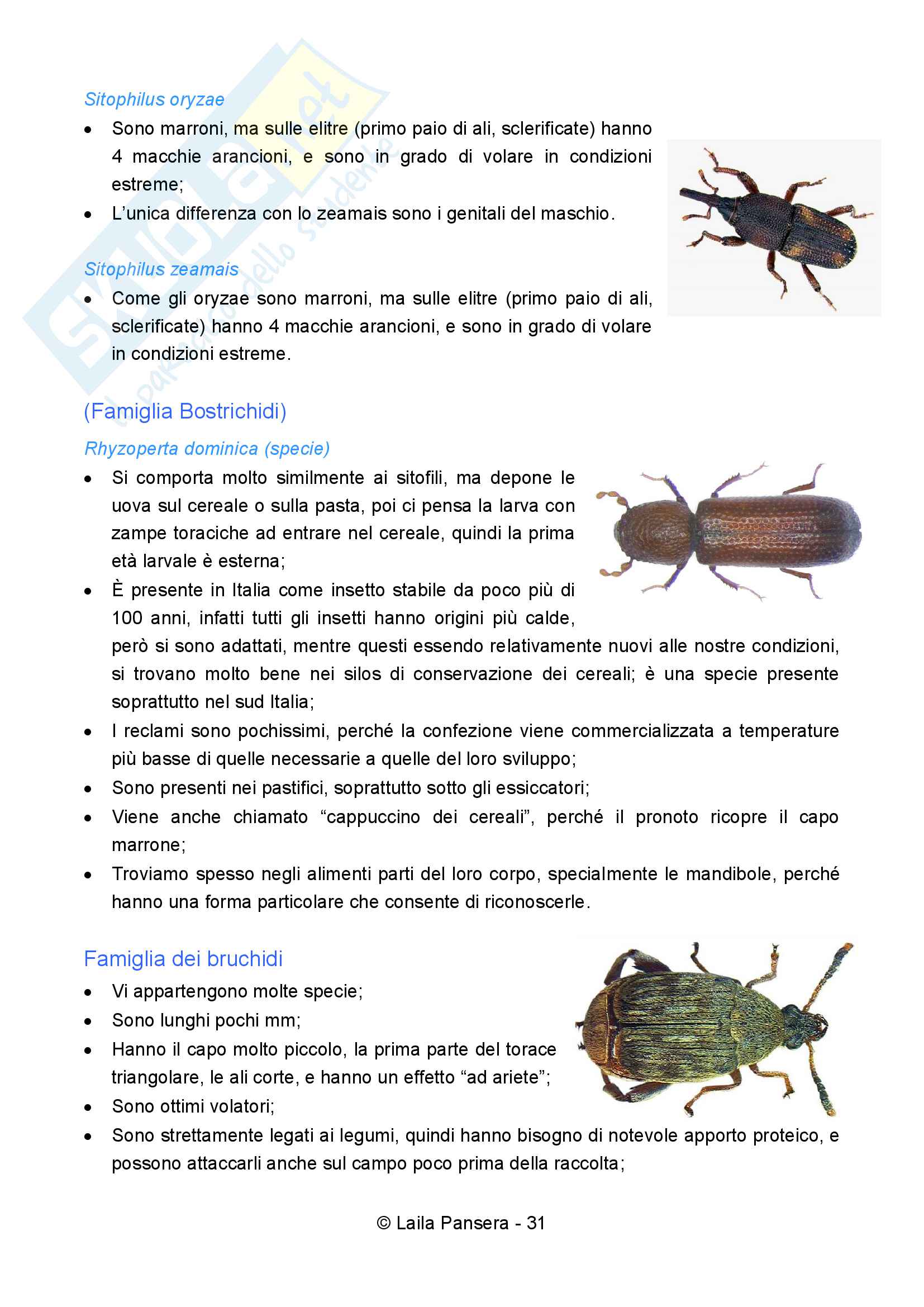 Difesa integrata degli infestanti Pag. 31