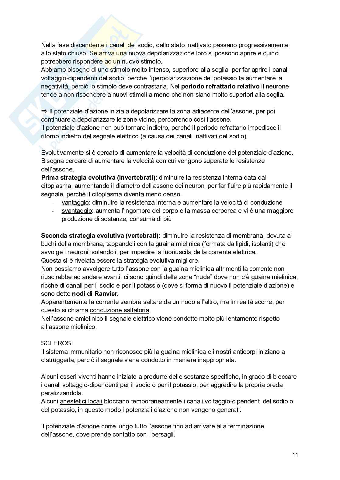 Appunti di Biologia  Pag. 11
