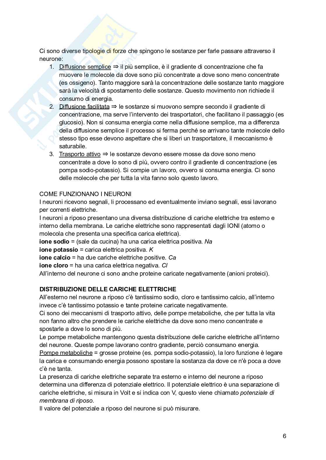 Appunti di Biologia  Pag. 6