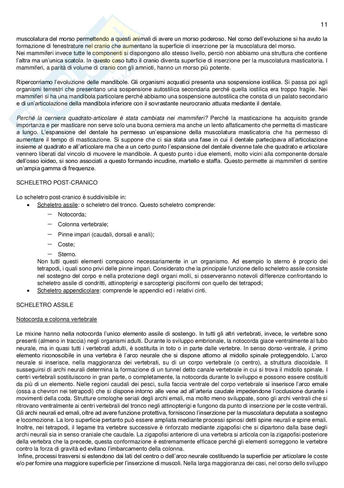 Anatomia Comparata Pag. 11