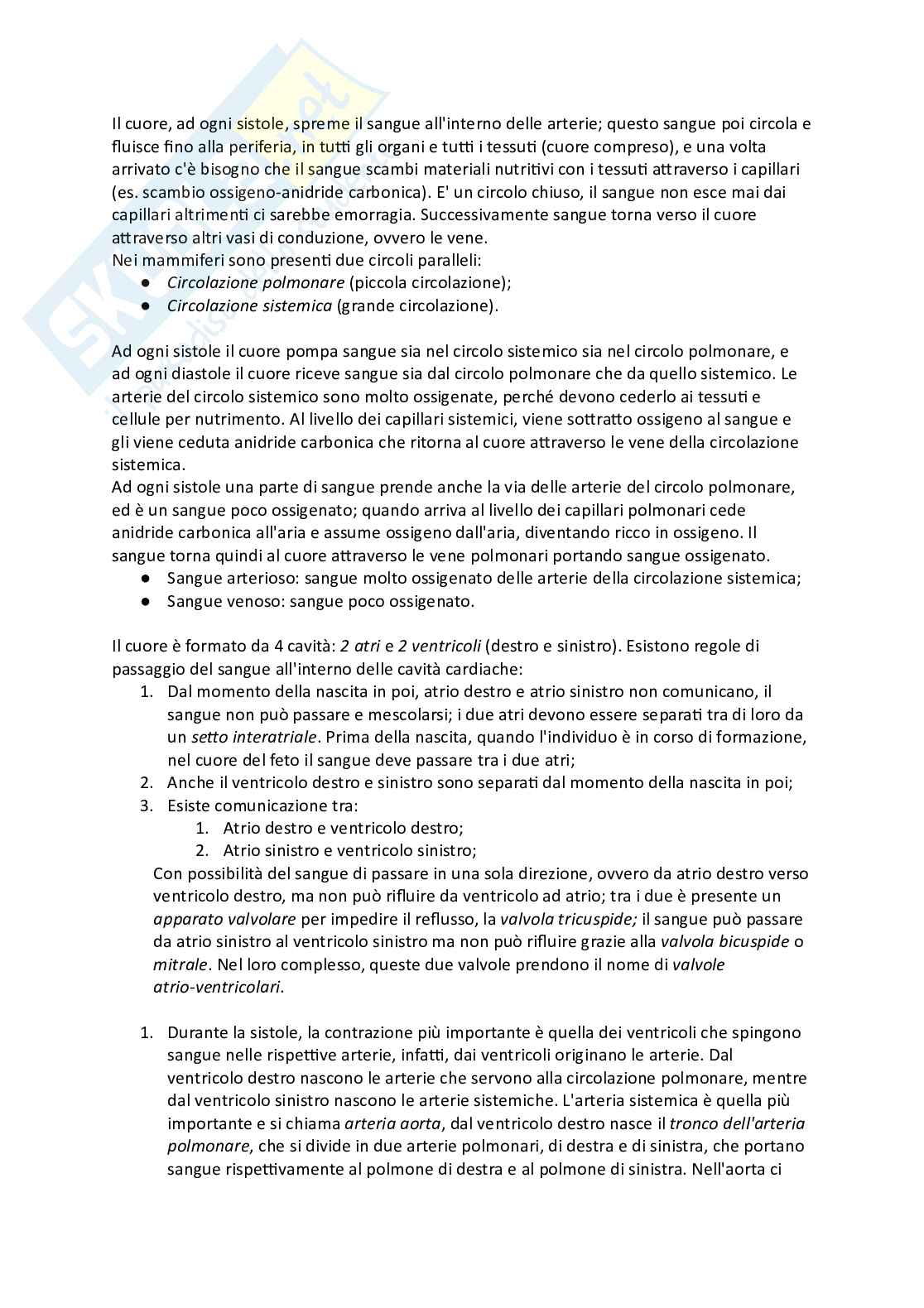 Anatomia sistematica animale Pag. 2