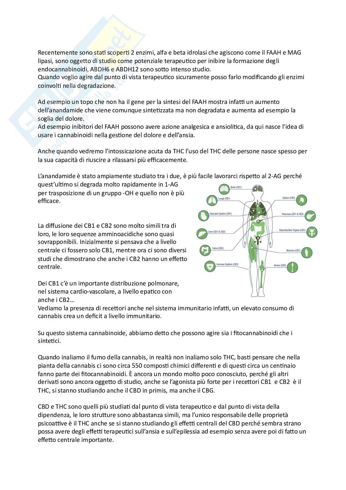  Esame di Farmacoterapia 1 - parte 3 Pag. 31