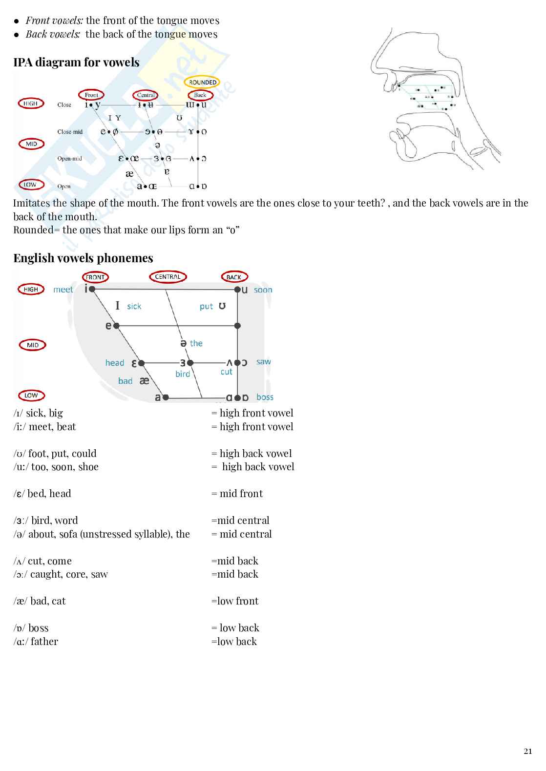 Appunti English Language 1 Pag. 21