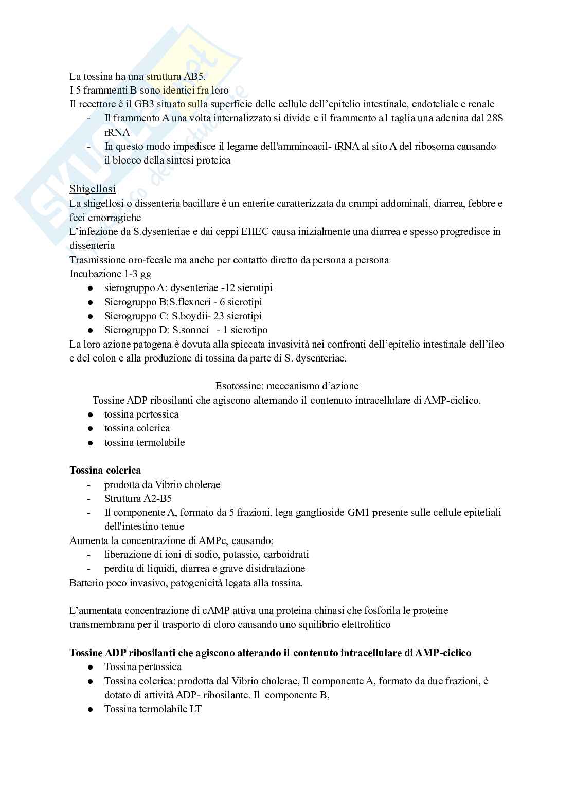 Microbiologia 3 Pag. 2