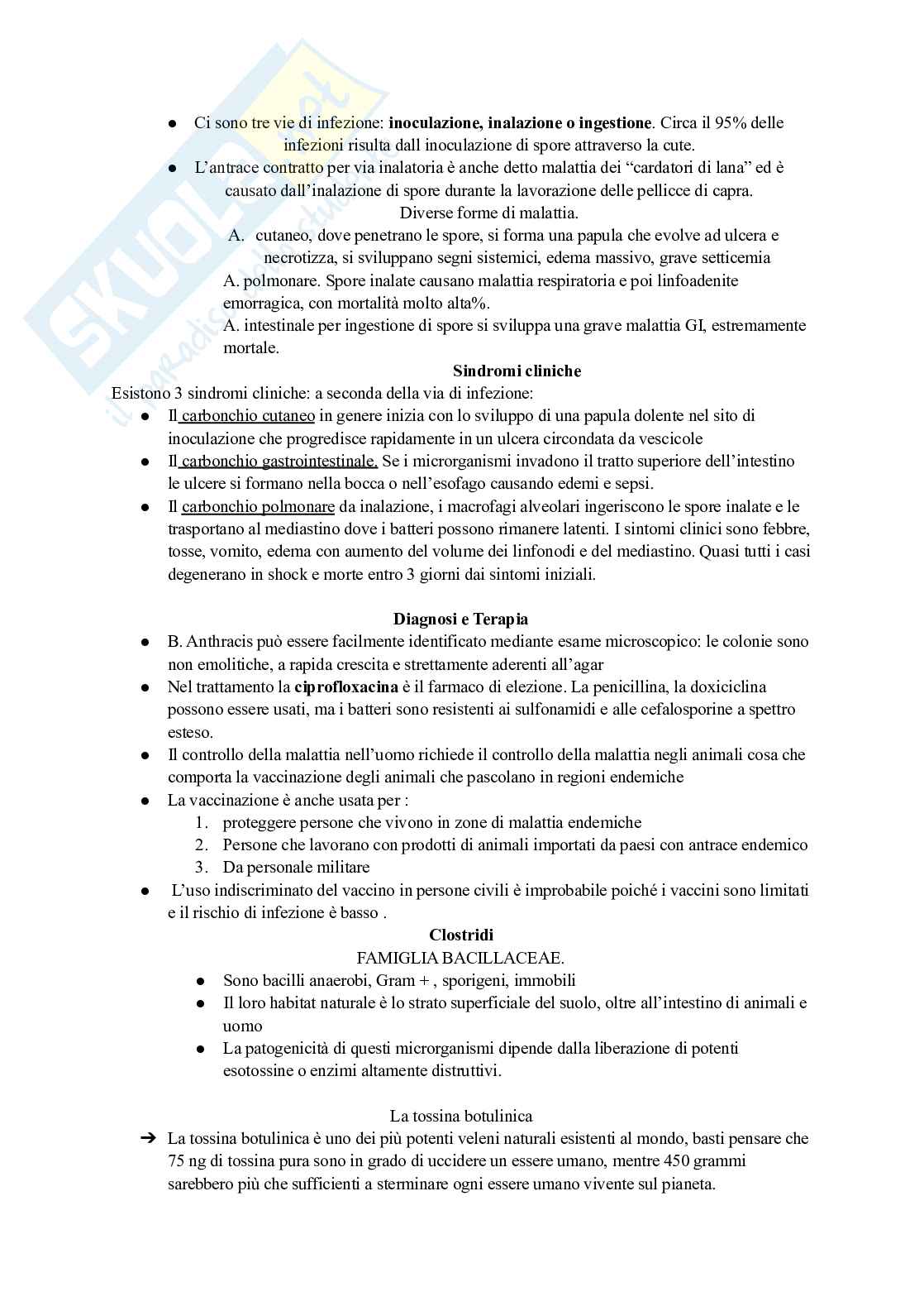 Microbiologia 3 Pag. 6