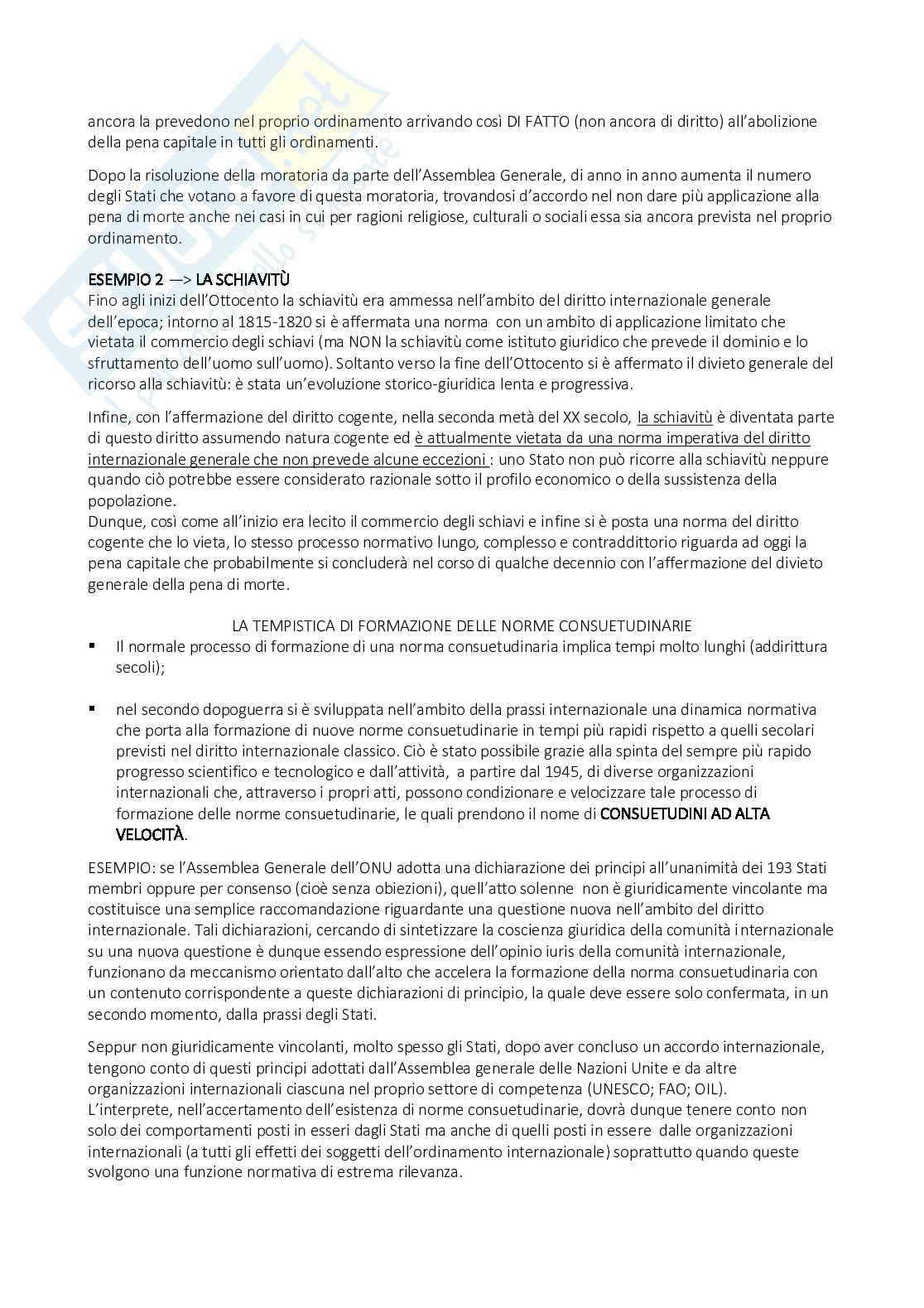 Appunti corso di Diritto internazionale Pag. 11