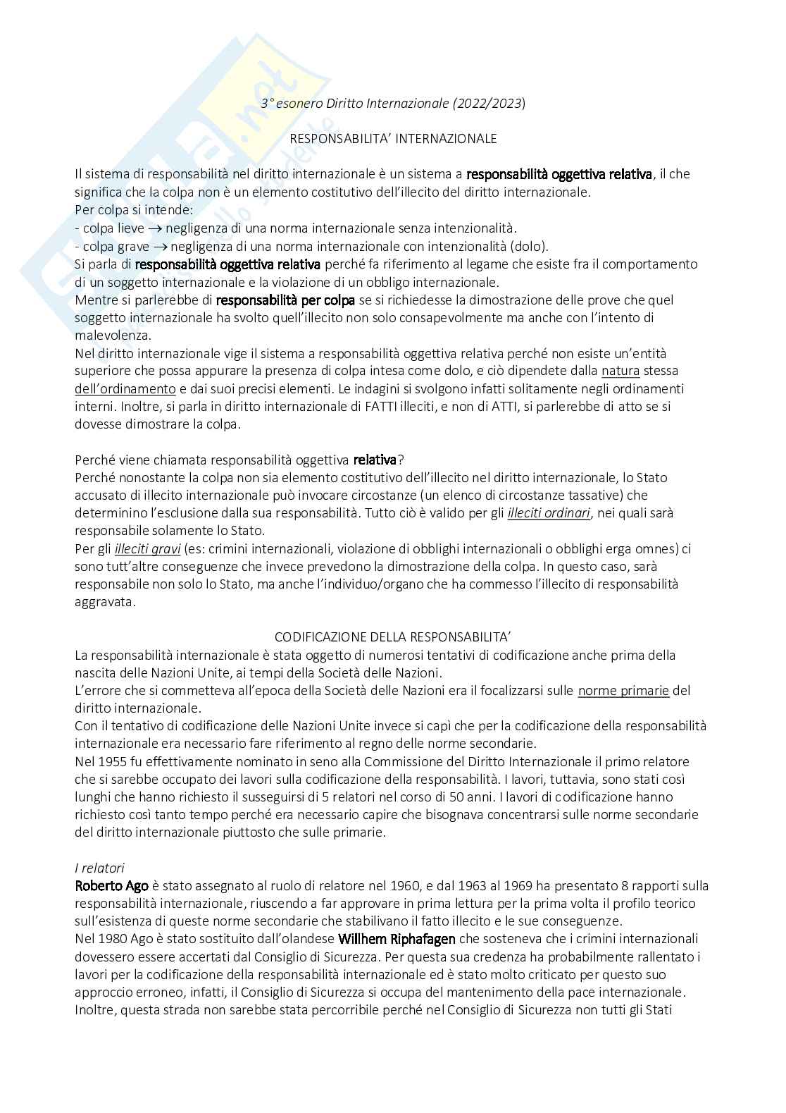 Appunti corso di Diritto internazionale Pag. 31