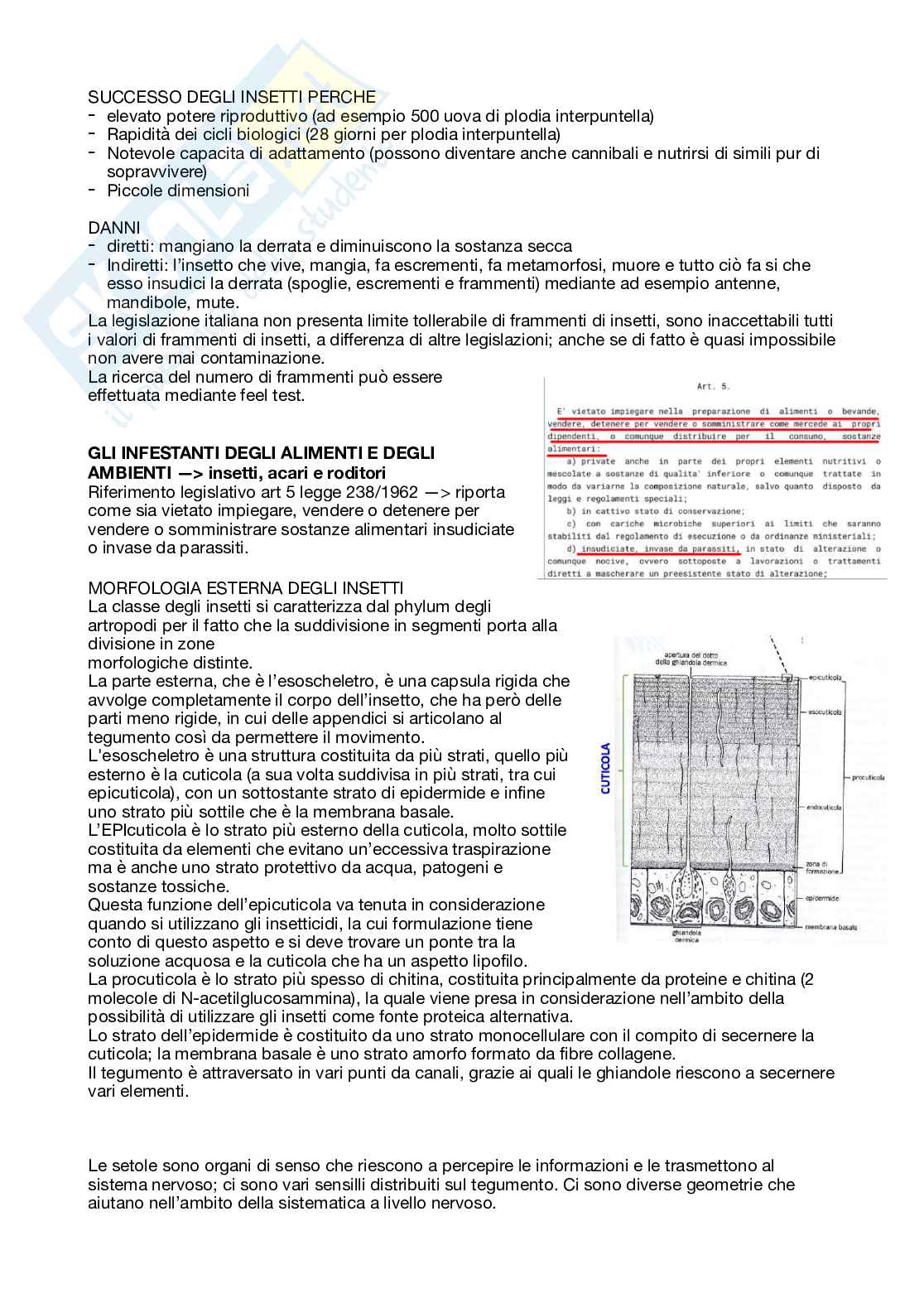 Appunti Difesa infestanti delle derrate Pag. 2