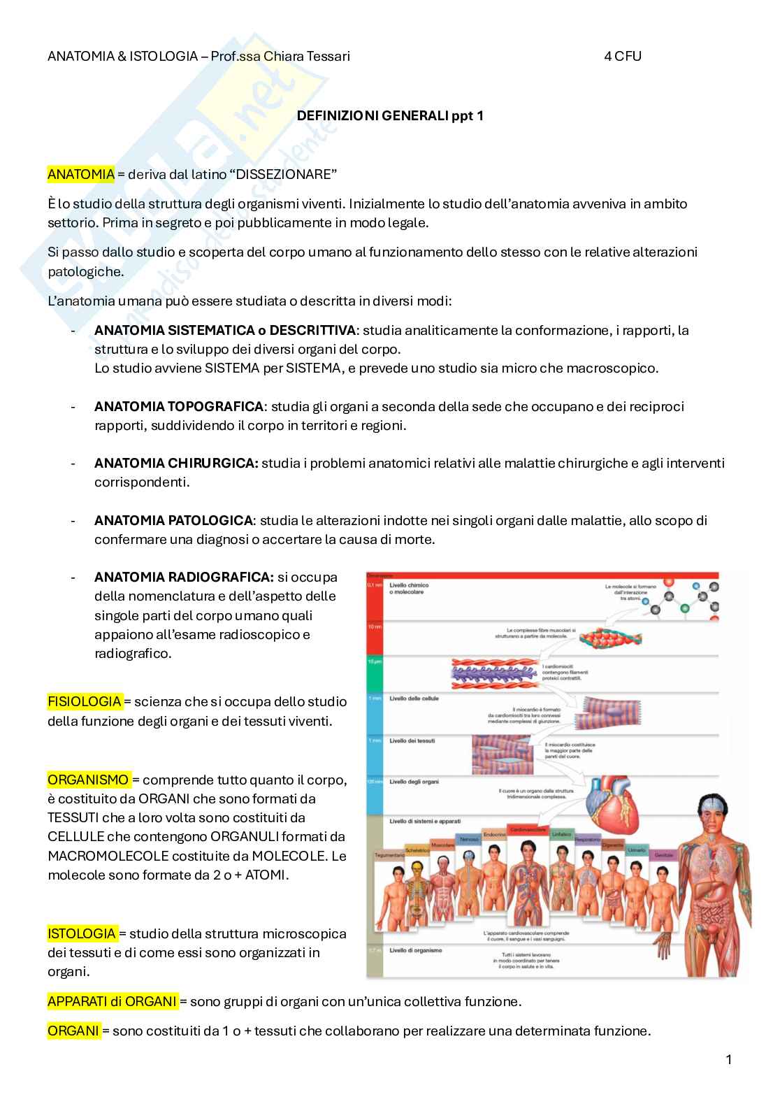 Appunti Anatomia Pag. 1