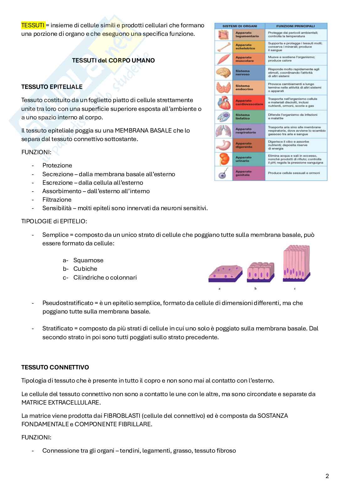 Appunti Anatomia Pag. 2