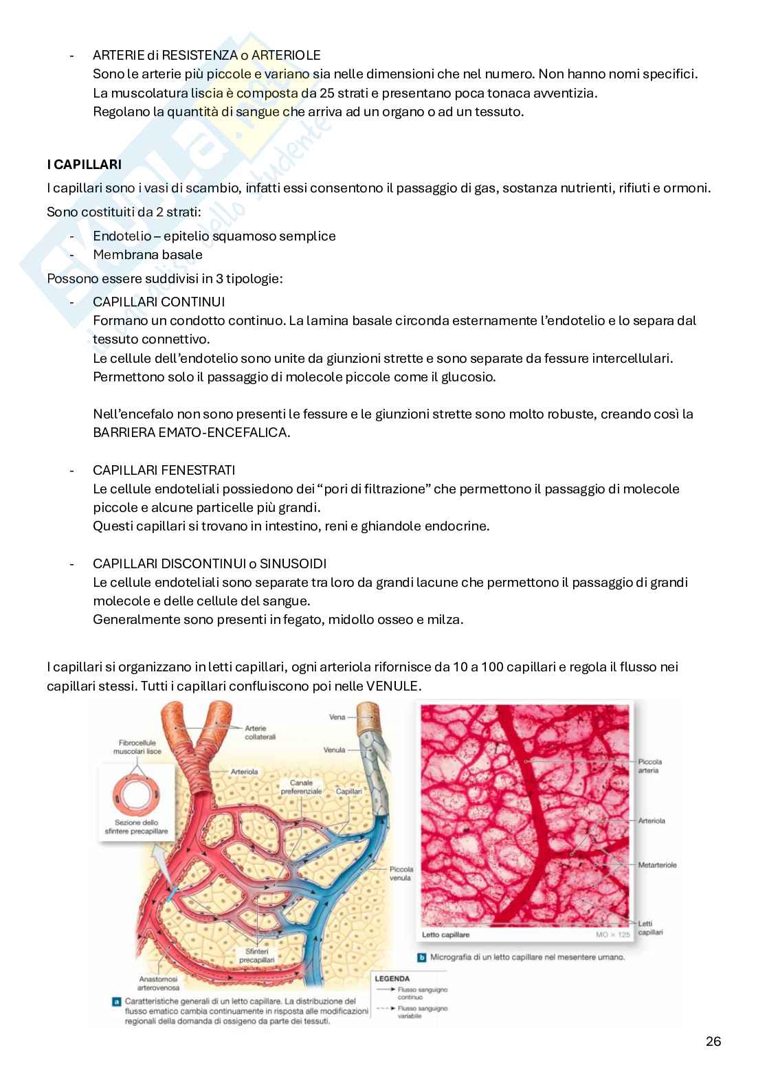 Appunti Anatomia Pag. 26