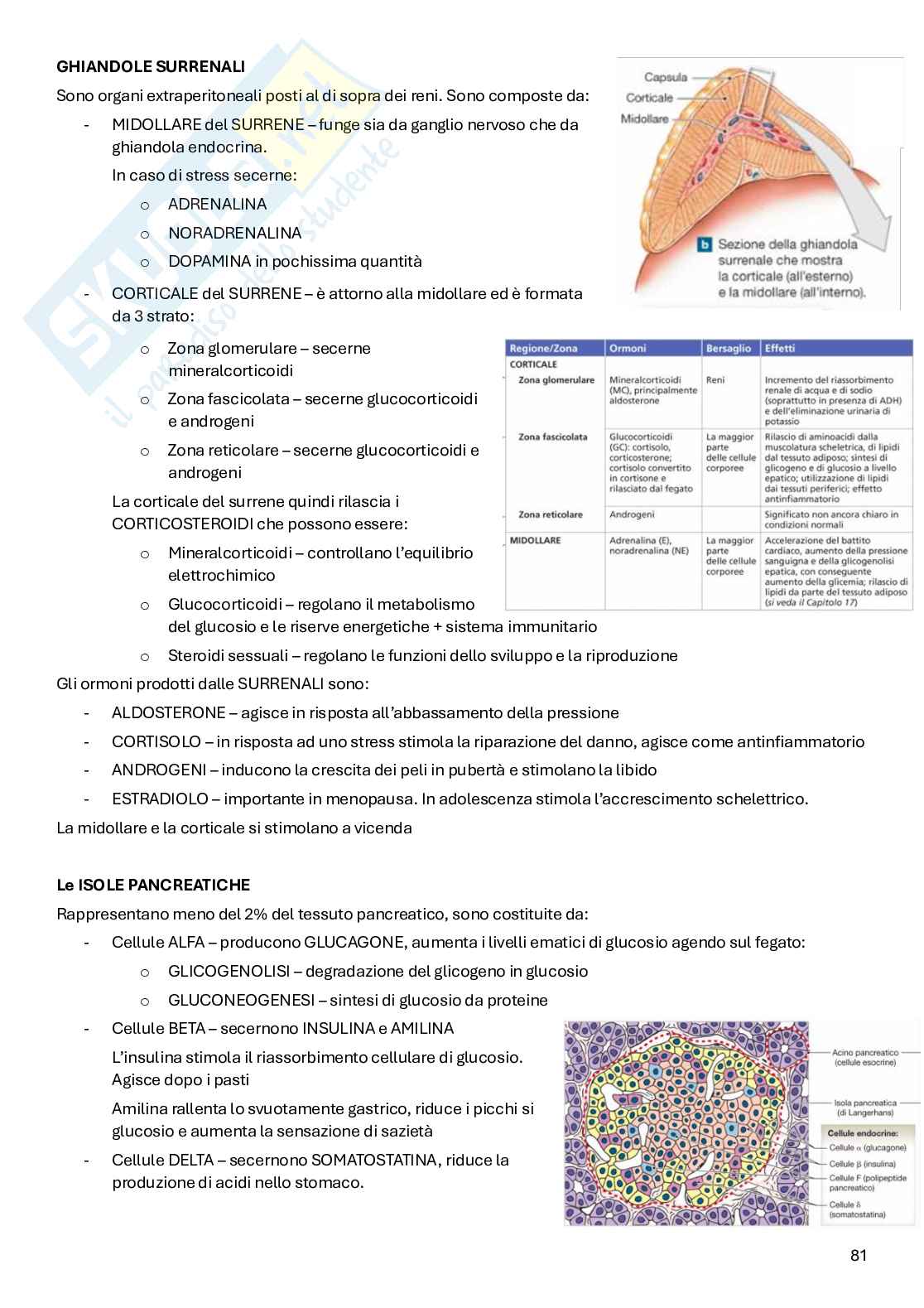 Appunti Anatomia Pag. 81