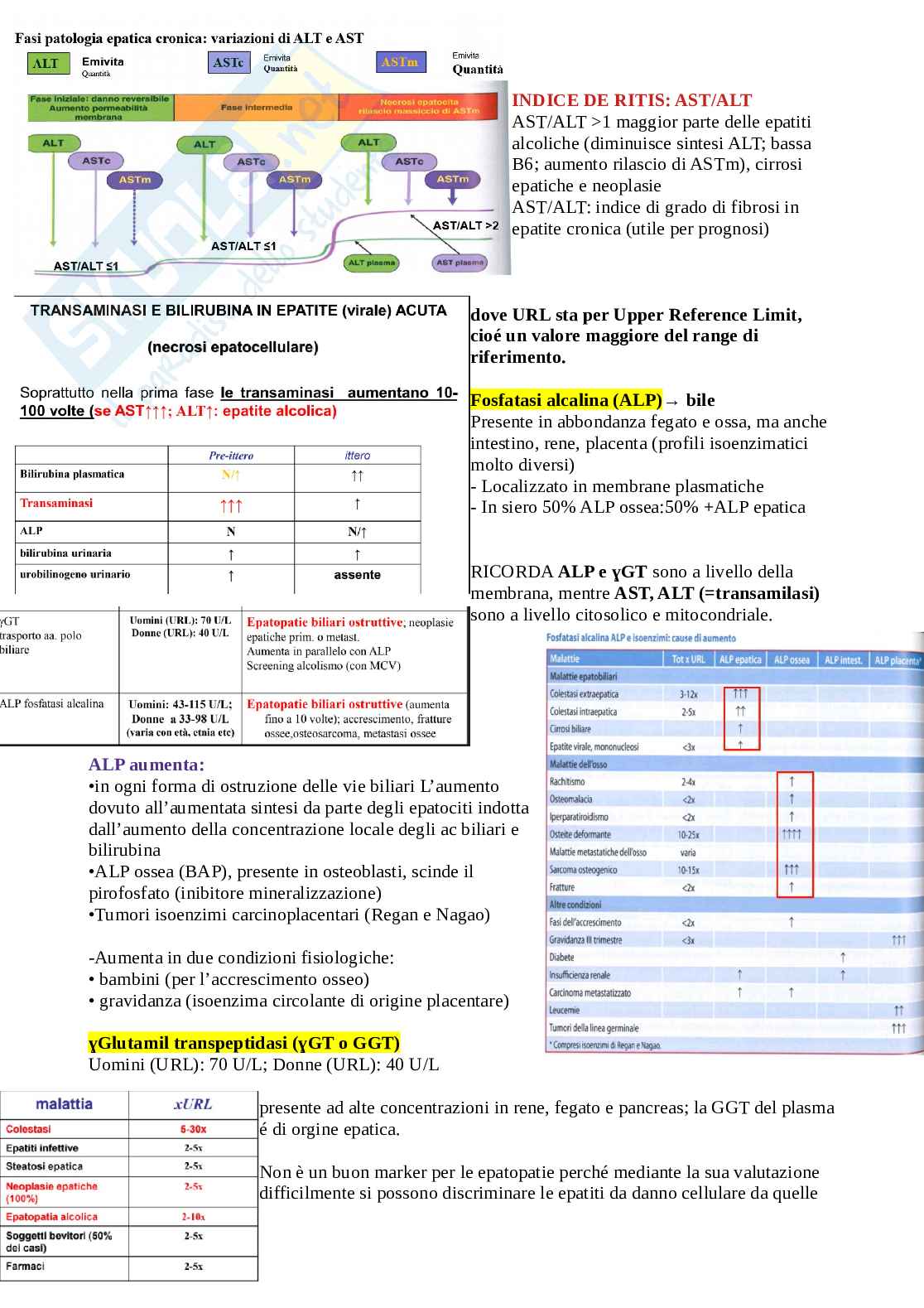 Biochimica clinica - Appunti (Biotecnologie mediche) Pag. 26
