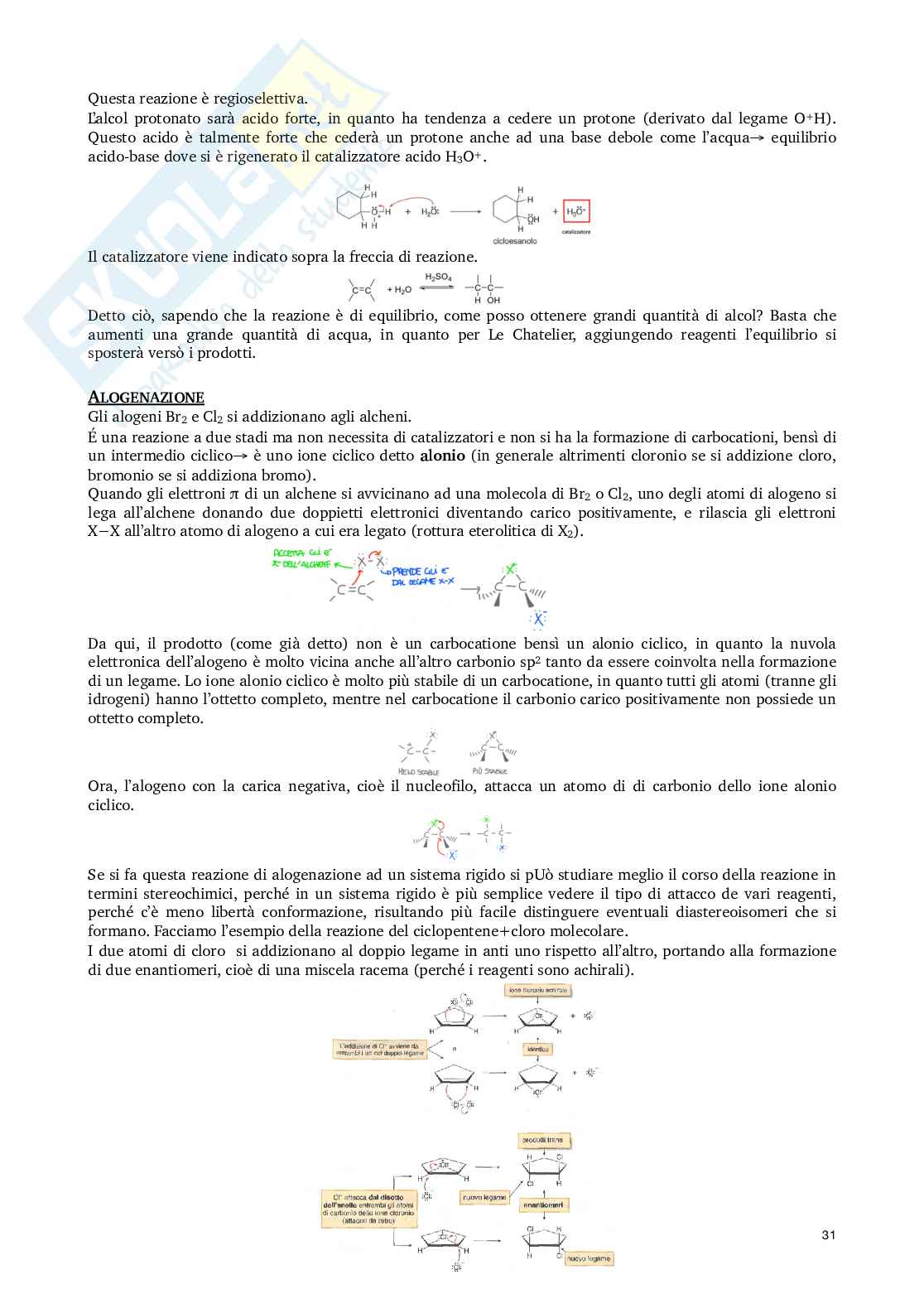 Riassunto esame Chimica organica, Prof. Nitti Patrizia, libro consigliato Chimica organica, Chimica Organica Pag. 31