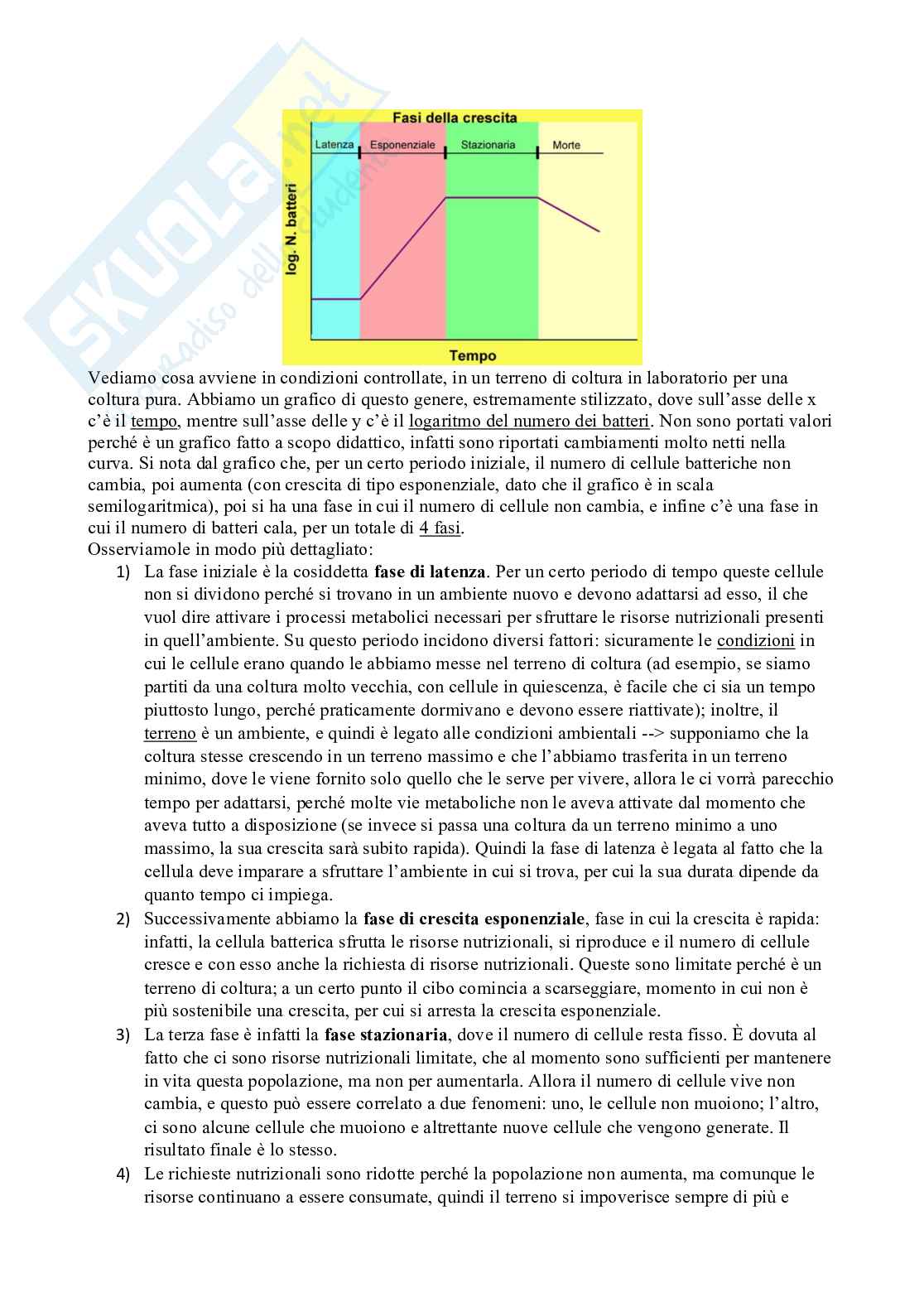 Microbiologia con laboratorio Pag. 11