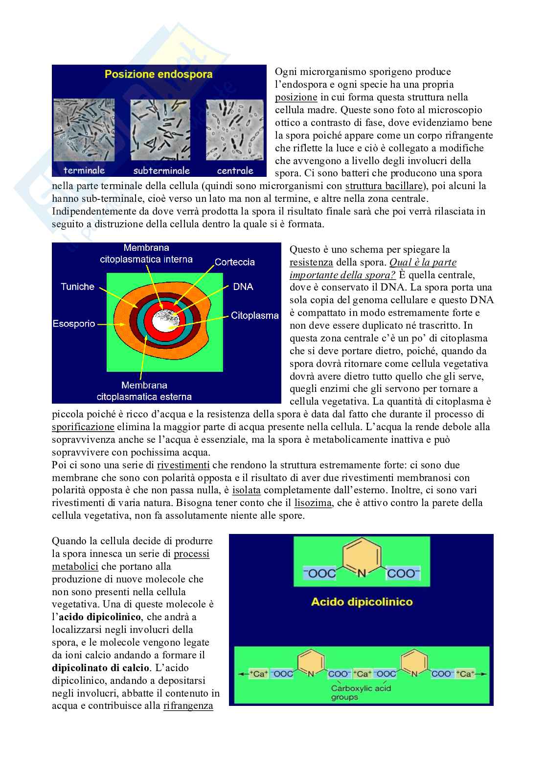 Microbiologia con laboratorio Pag. 2