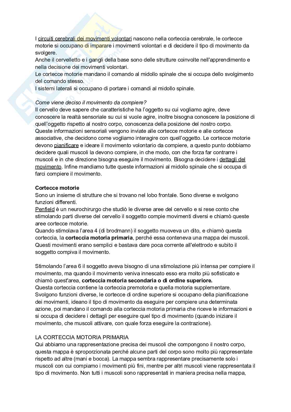 Appunti di Neuroscienze  Pag. 11