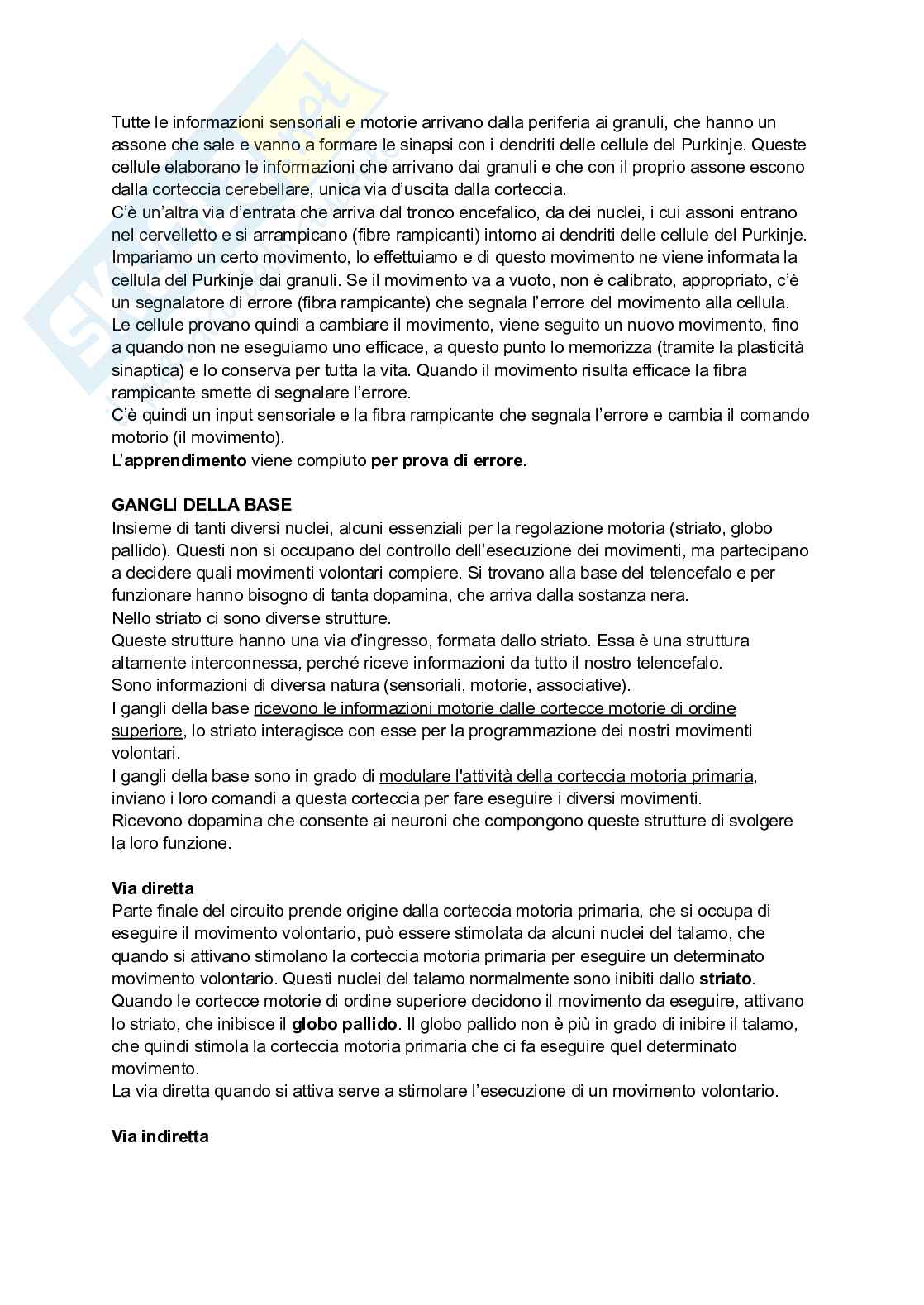 Appunti di Neuroscienze  Pag. 16