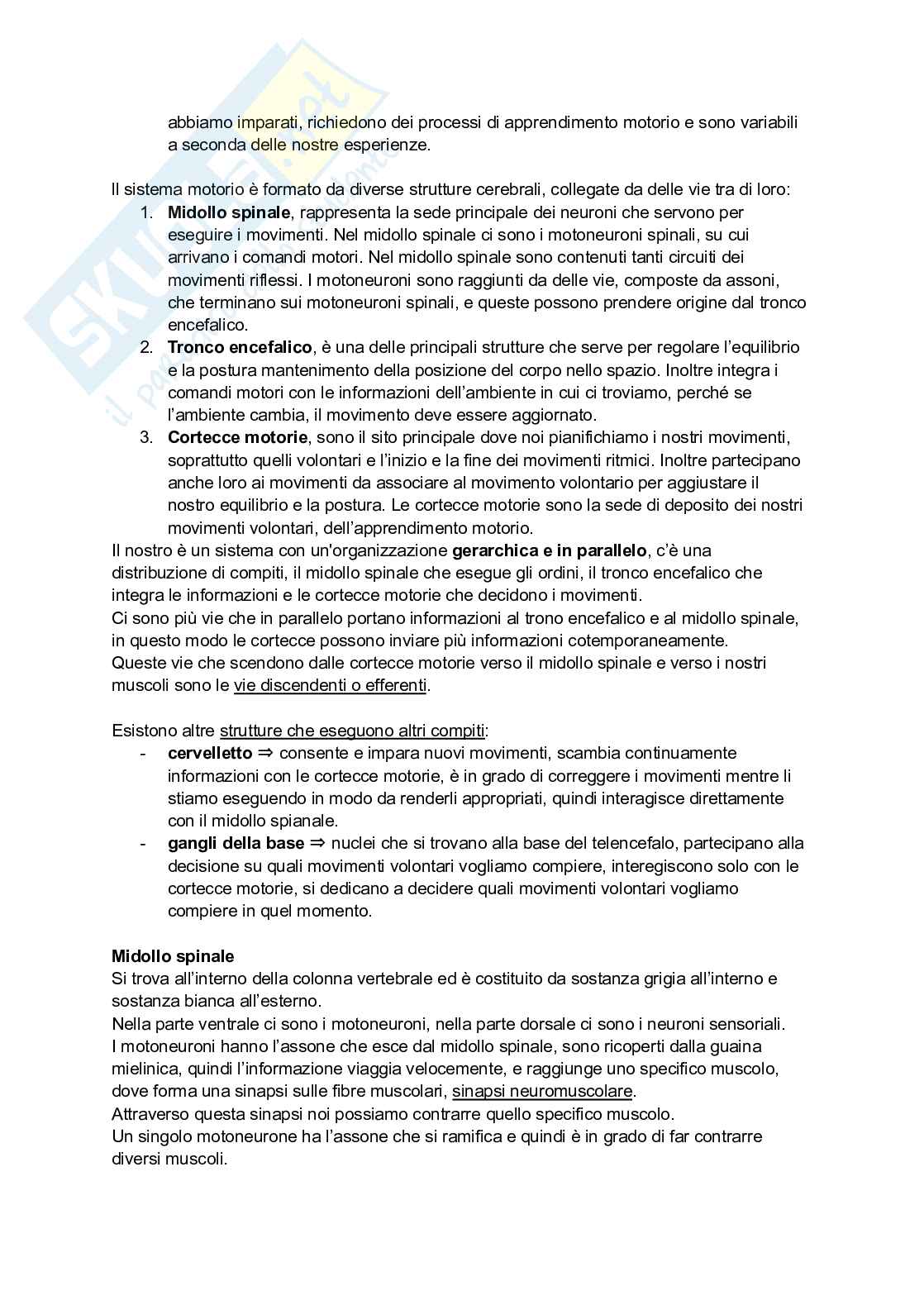 Appunti di Neuroscienze  Pag. 2