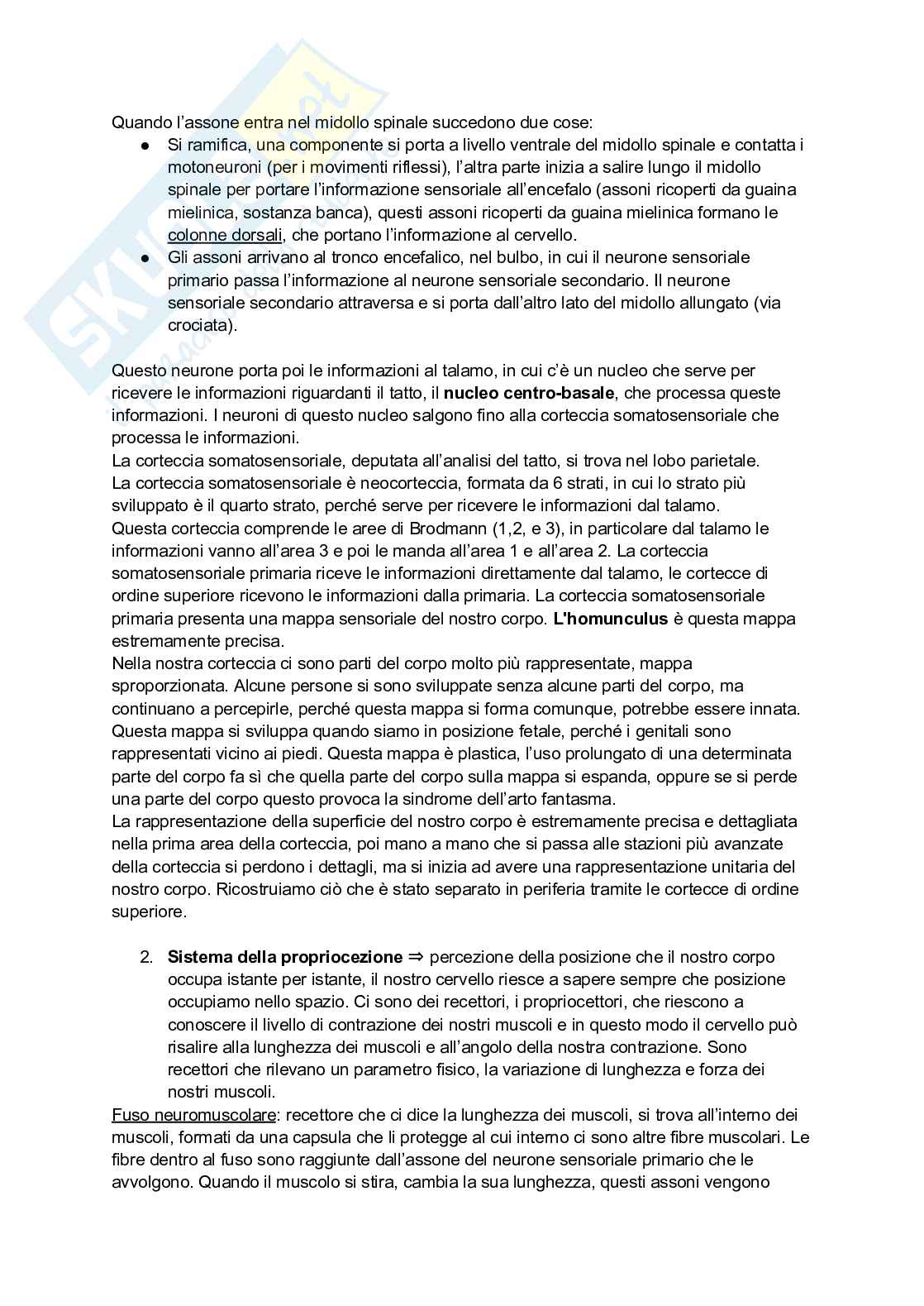 Appunti di Neuroscienze  Pag. 21