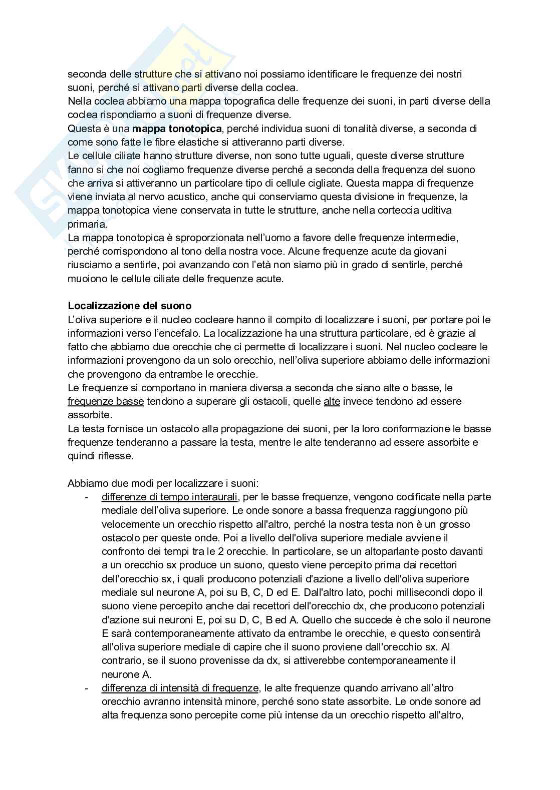 Appunti di Neuroscienze  Pag. 26