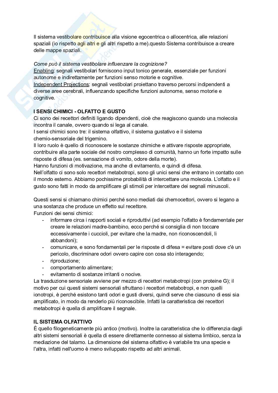 Appunti di Neuroscienze  Pag. 31