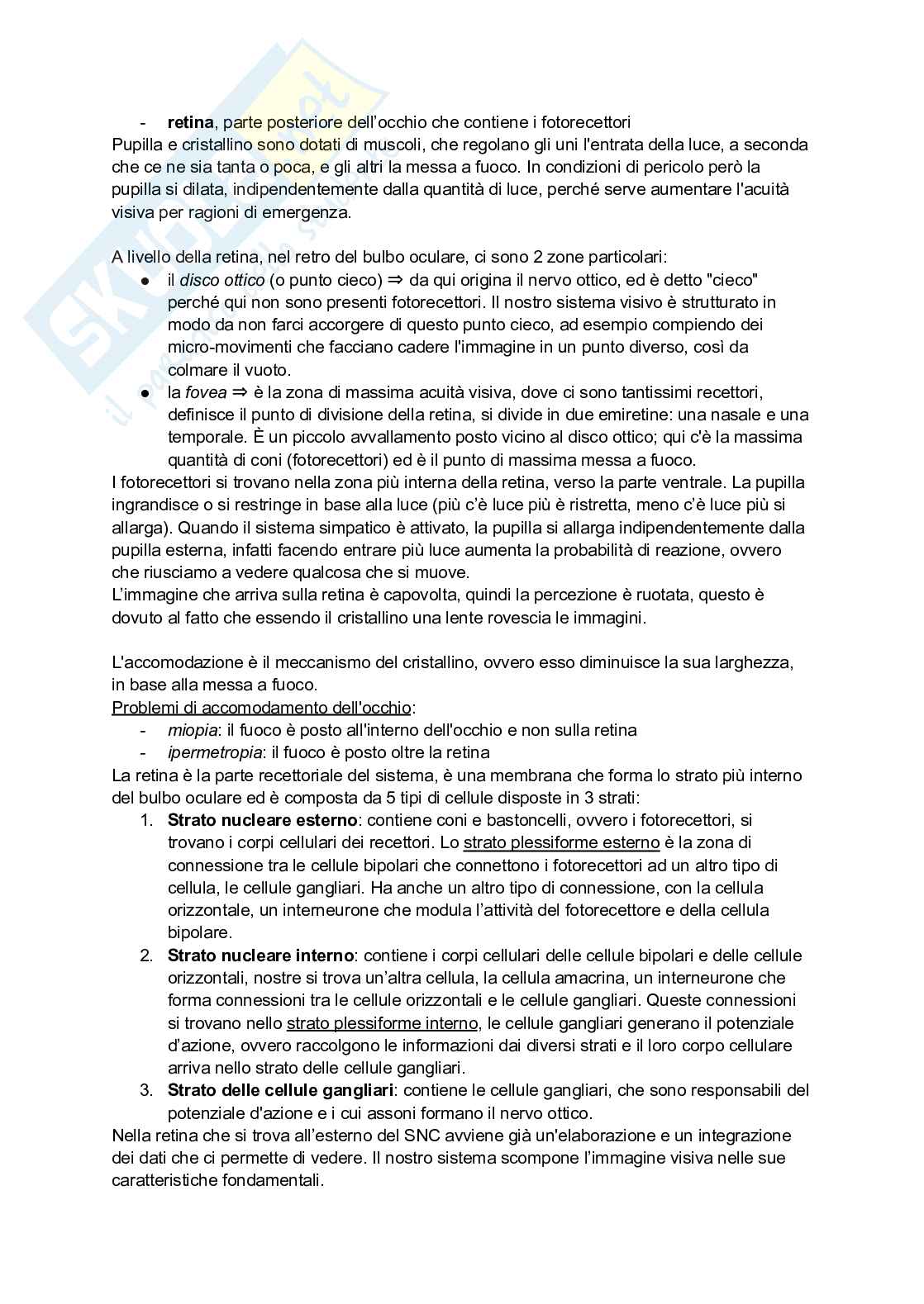 Appunti di Neuroscienze  Pag. 36