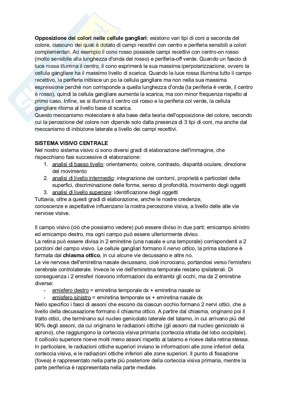 Appunti di Neuroscienze  Pag. 41