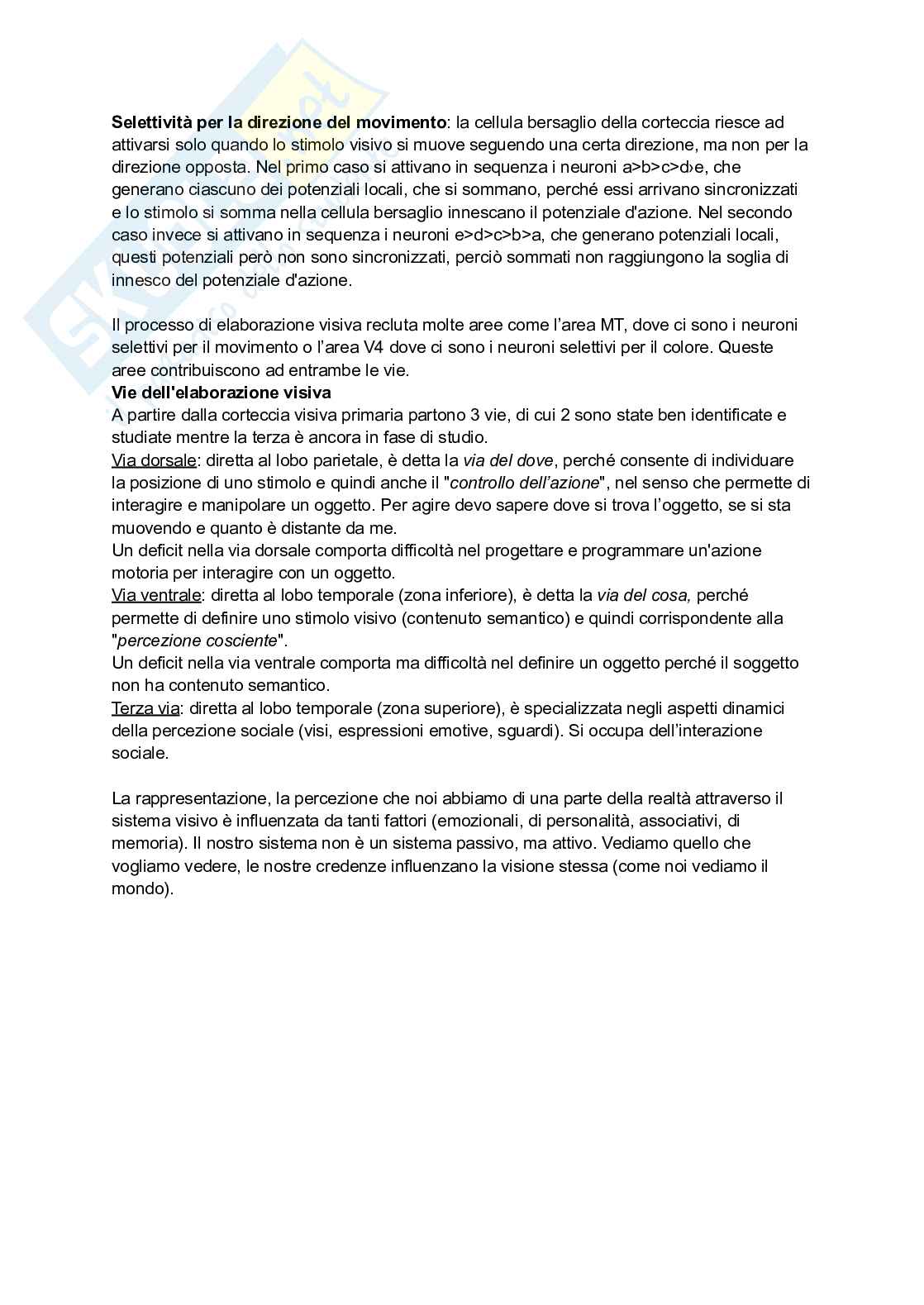 Appunti di Neuroscienze  Pag. 46