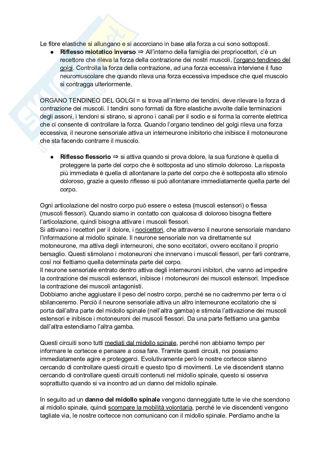 Appunti di Neuroscienze  Pag. 6