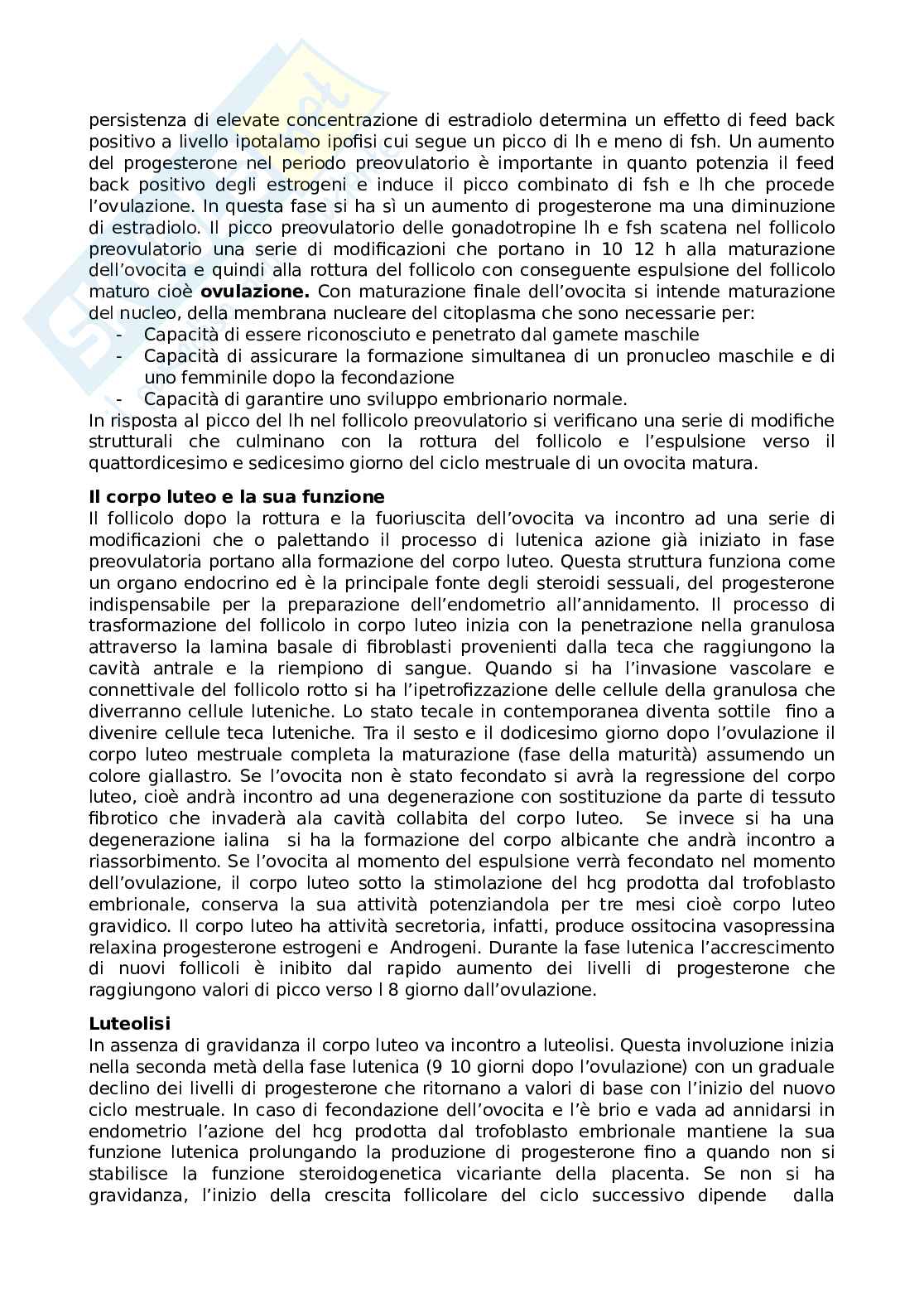 Riassunto esame ginecologia e ostetricia Pag. 6