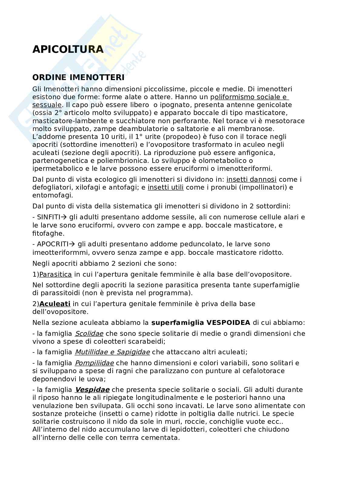 Riassunti apicoltura Pag. 1