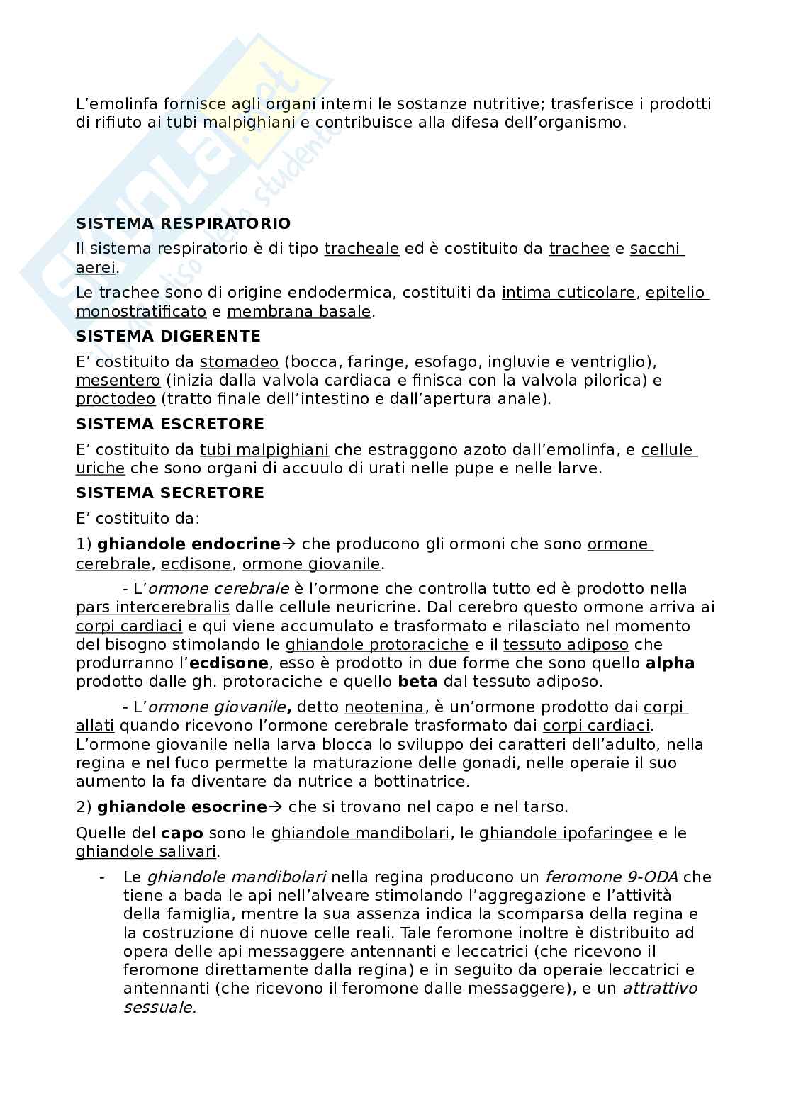 Riassunti apicoltura Pag. 11