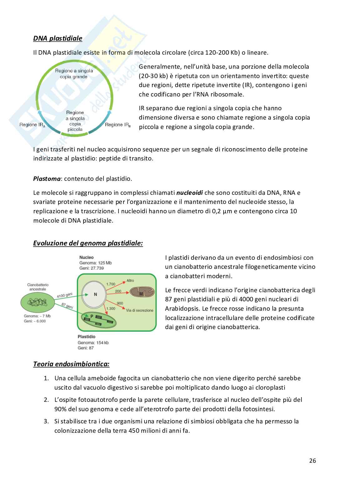 Plasticità cellulare (seconda parte) Pag. 26