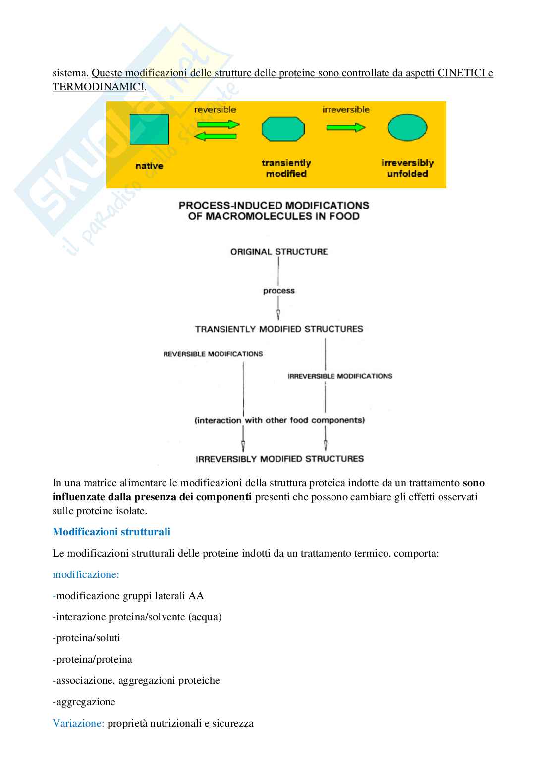 Appunti di lezione Biochimica alimentare Pag. 26