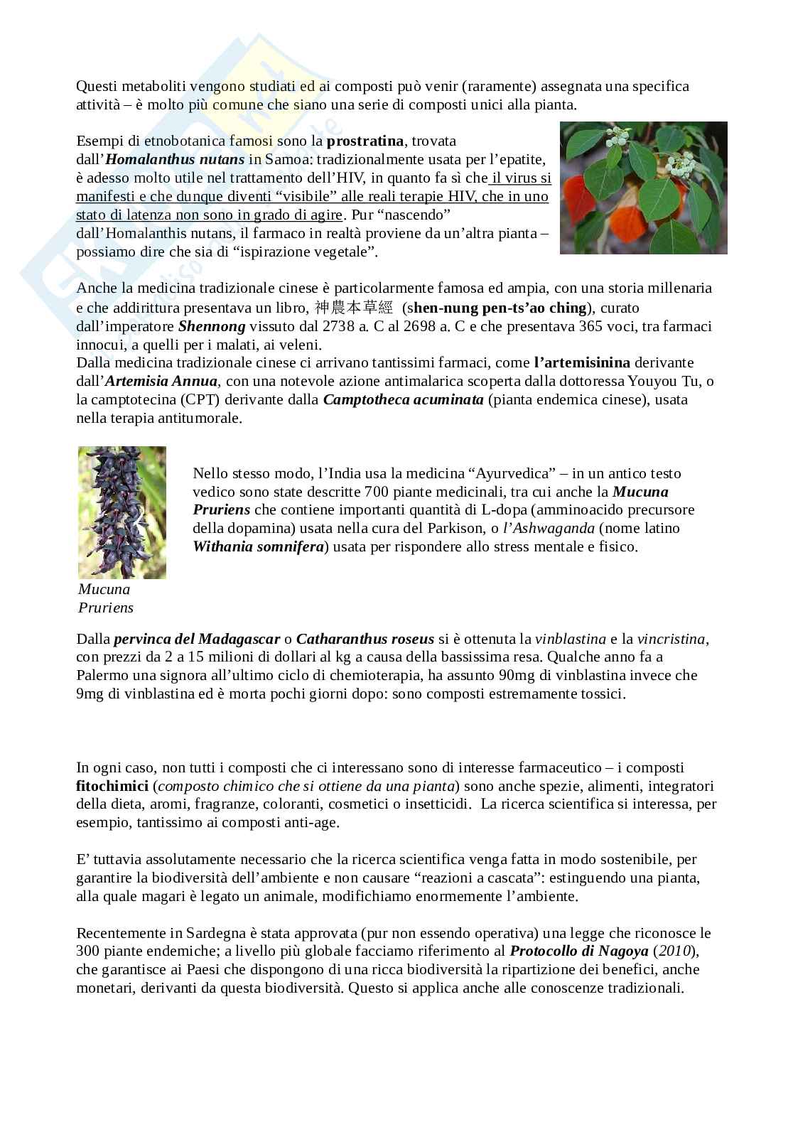 Appunti completi per il secondo modulo di Botanica farmaceutica Pag. 2